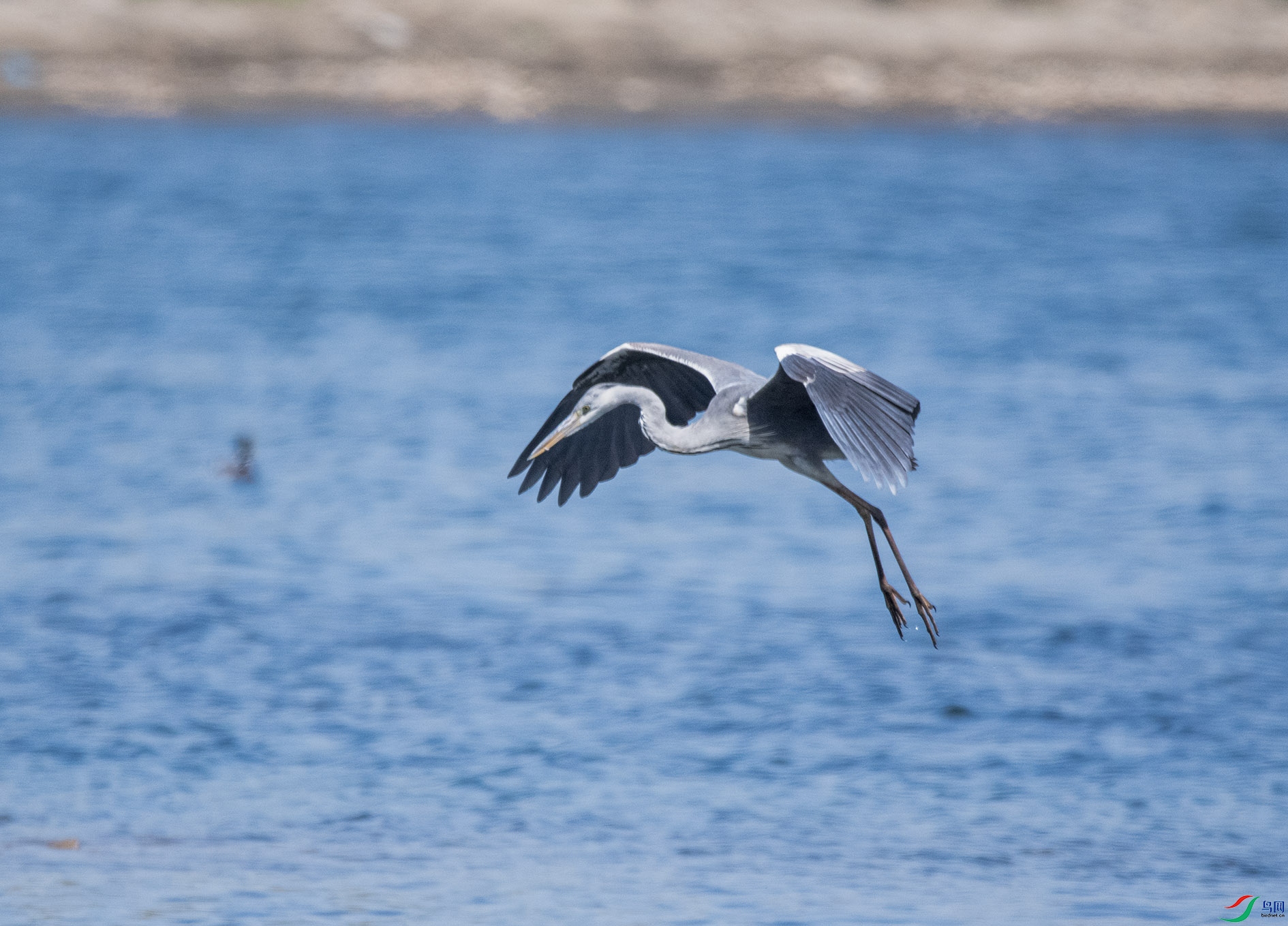 DSC_4584_��ͼ�� ����.jpg