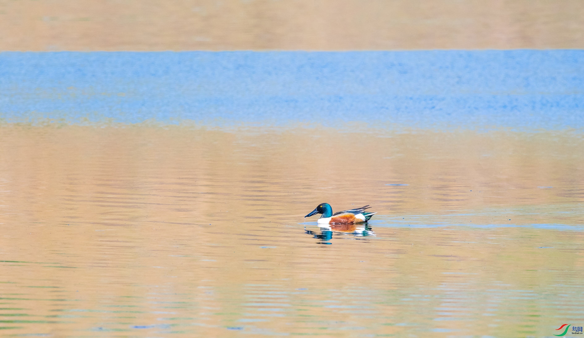 DSC_5773_��ͼ�� ����.jpg