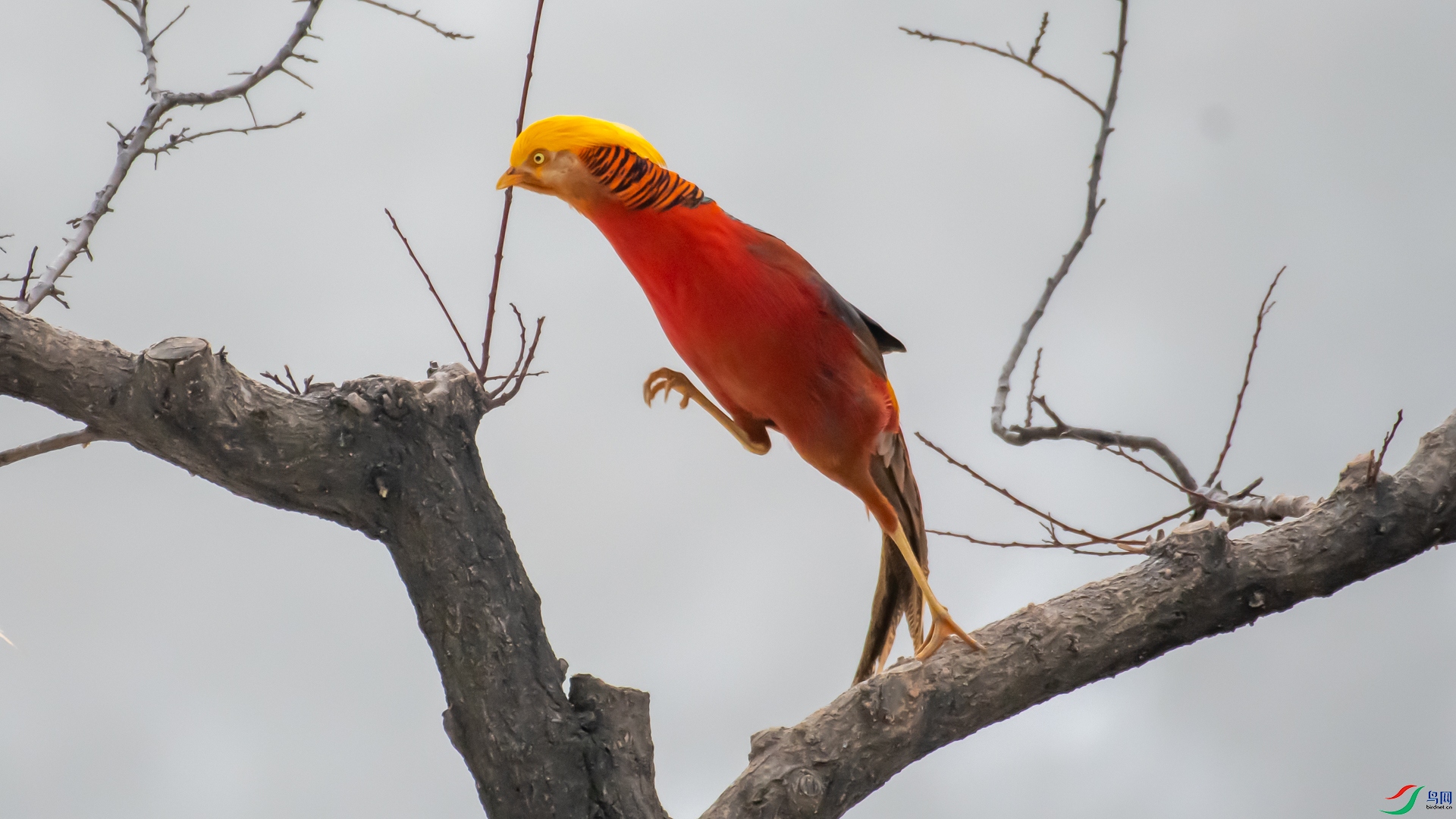 DSC_6351.jpg