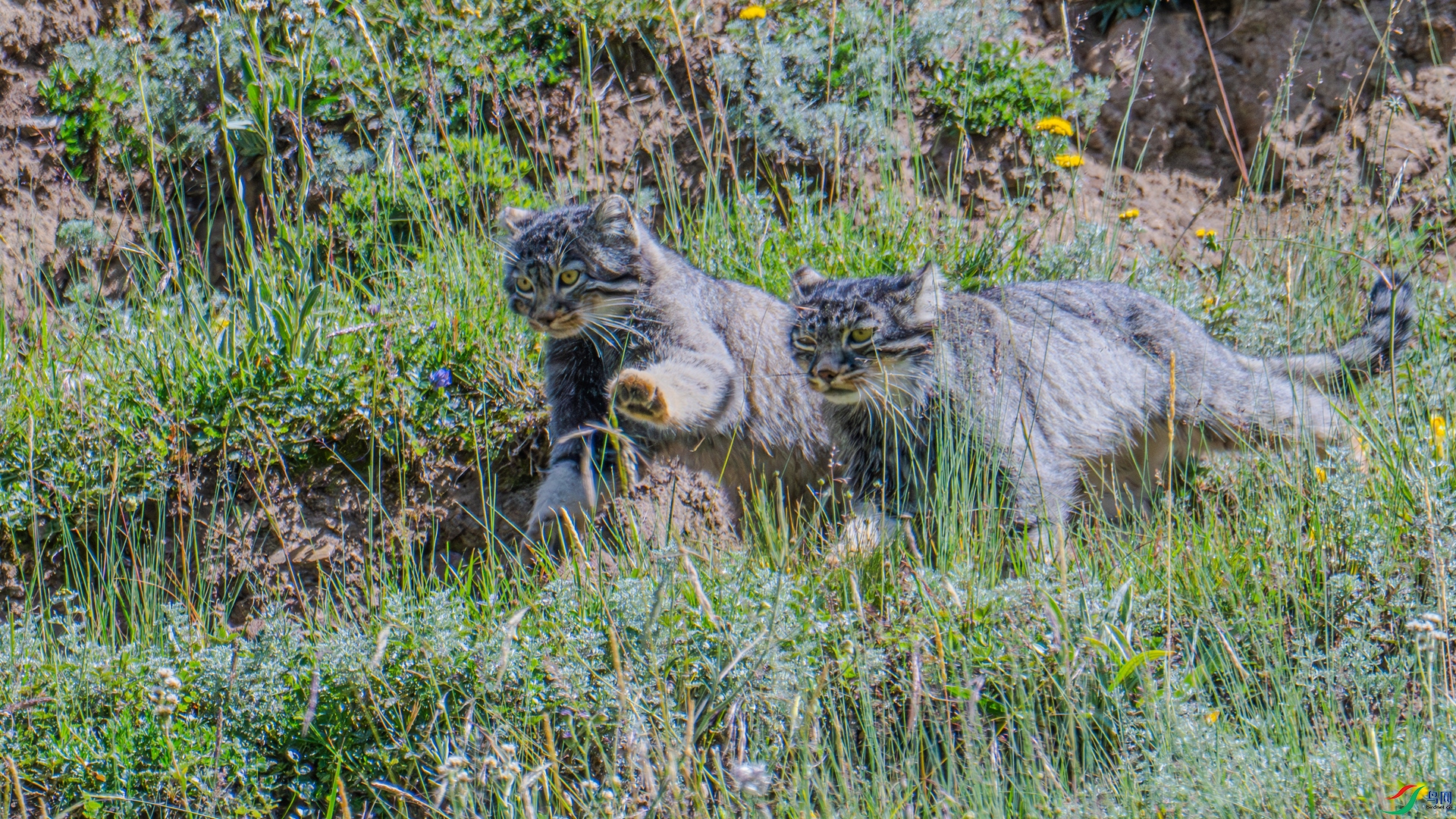DSC_5854-1_����.jpg