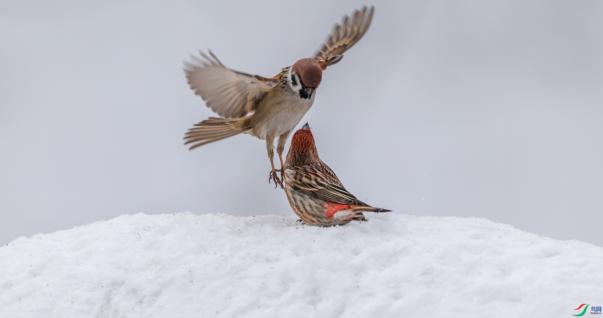 4��28��.jpg
