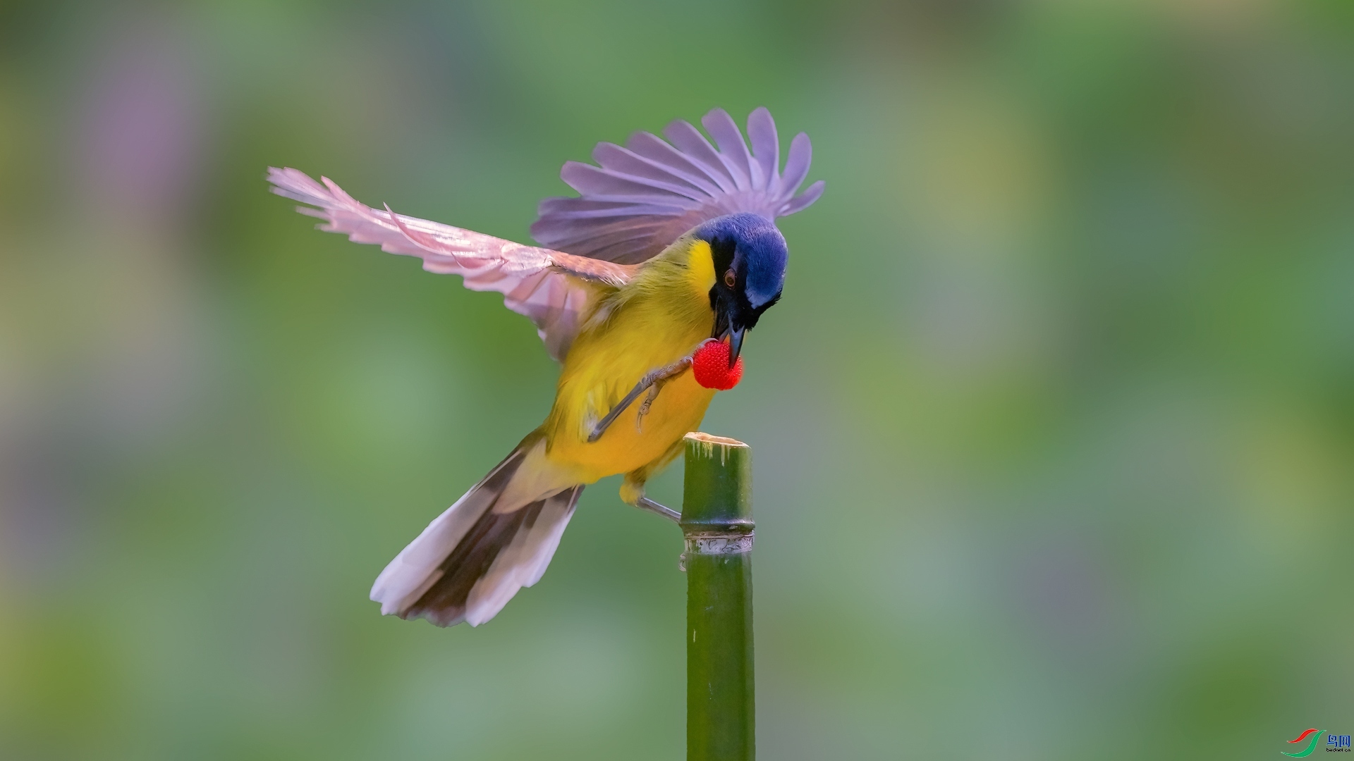 4.28 ��ƽ@��ʦ��Ʒ  һ�κ�  �ٻ�2026��4��28�հ�����ҳ����.jpg