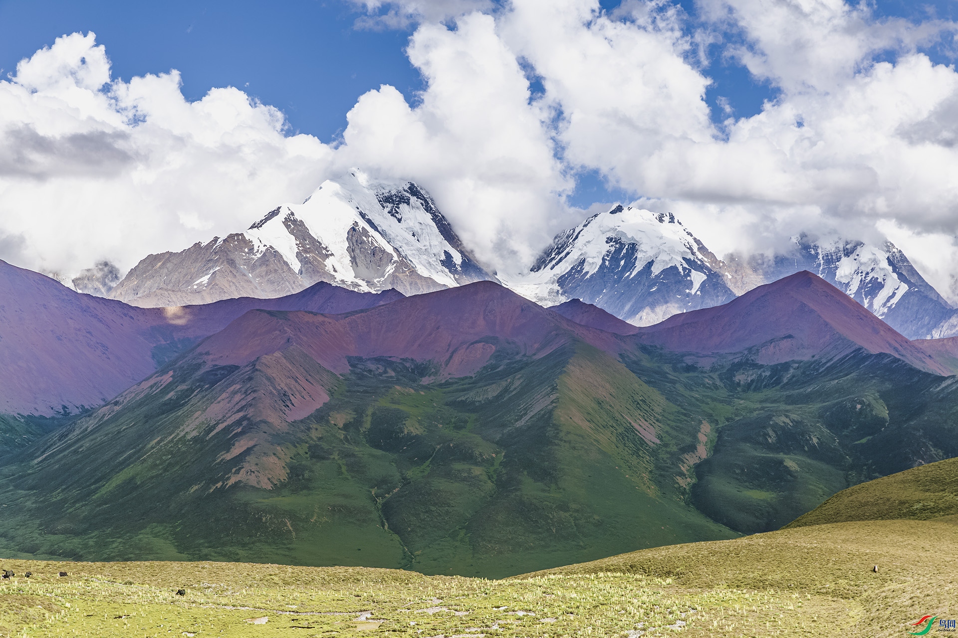 1J9A2522 ����.jpg