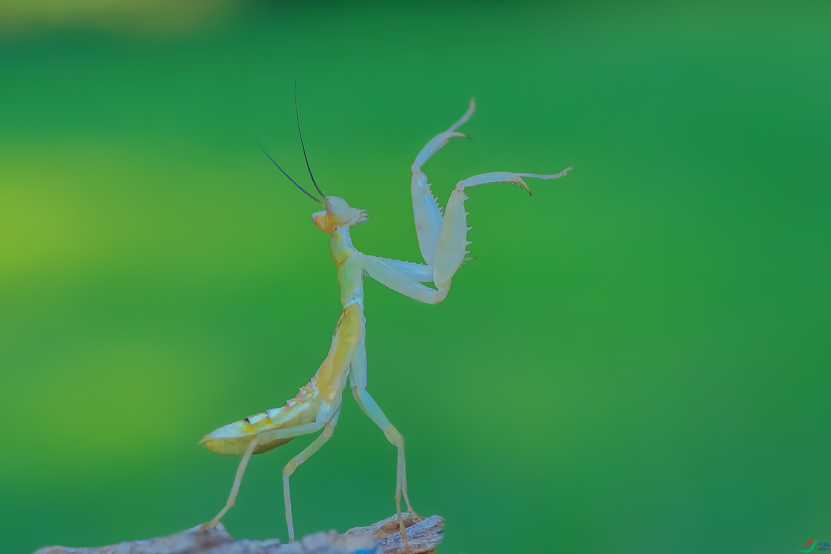 7T8A0412_���� ����.jpg