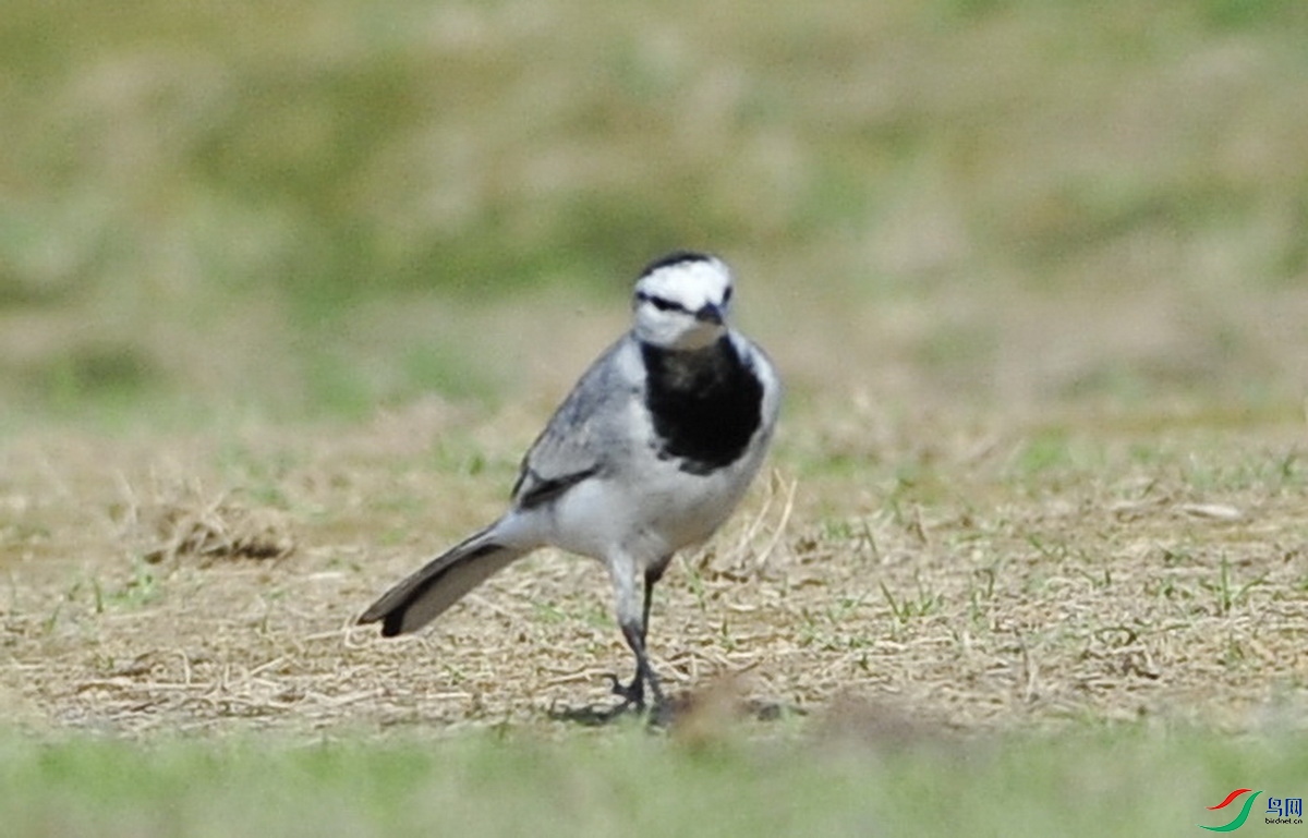 _DSC7357xc_������С.JPG