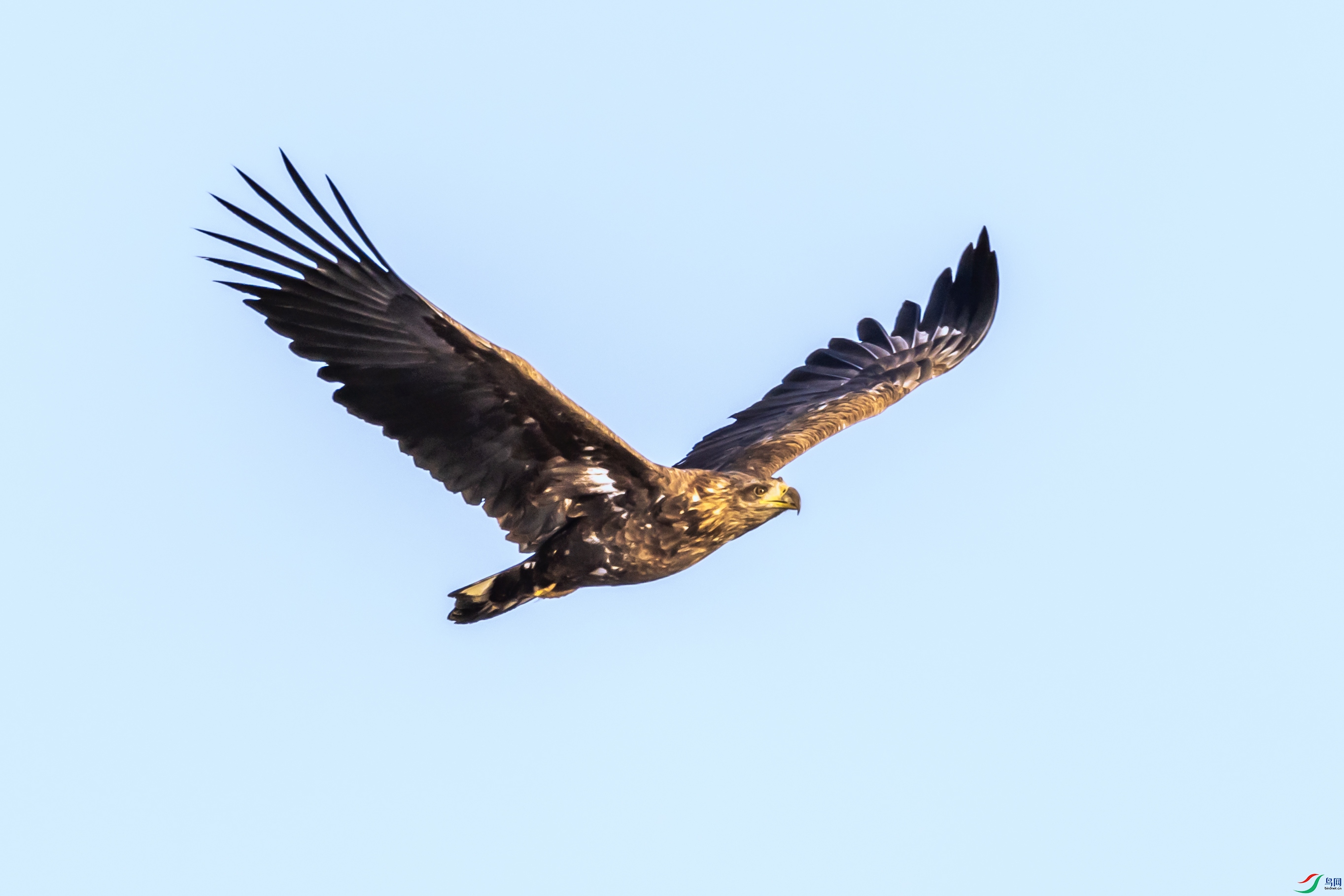 4K2A6360 ��β����003.jpg