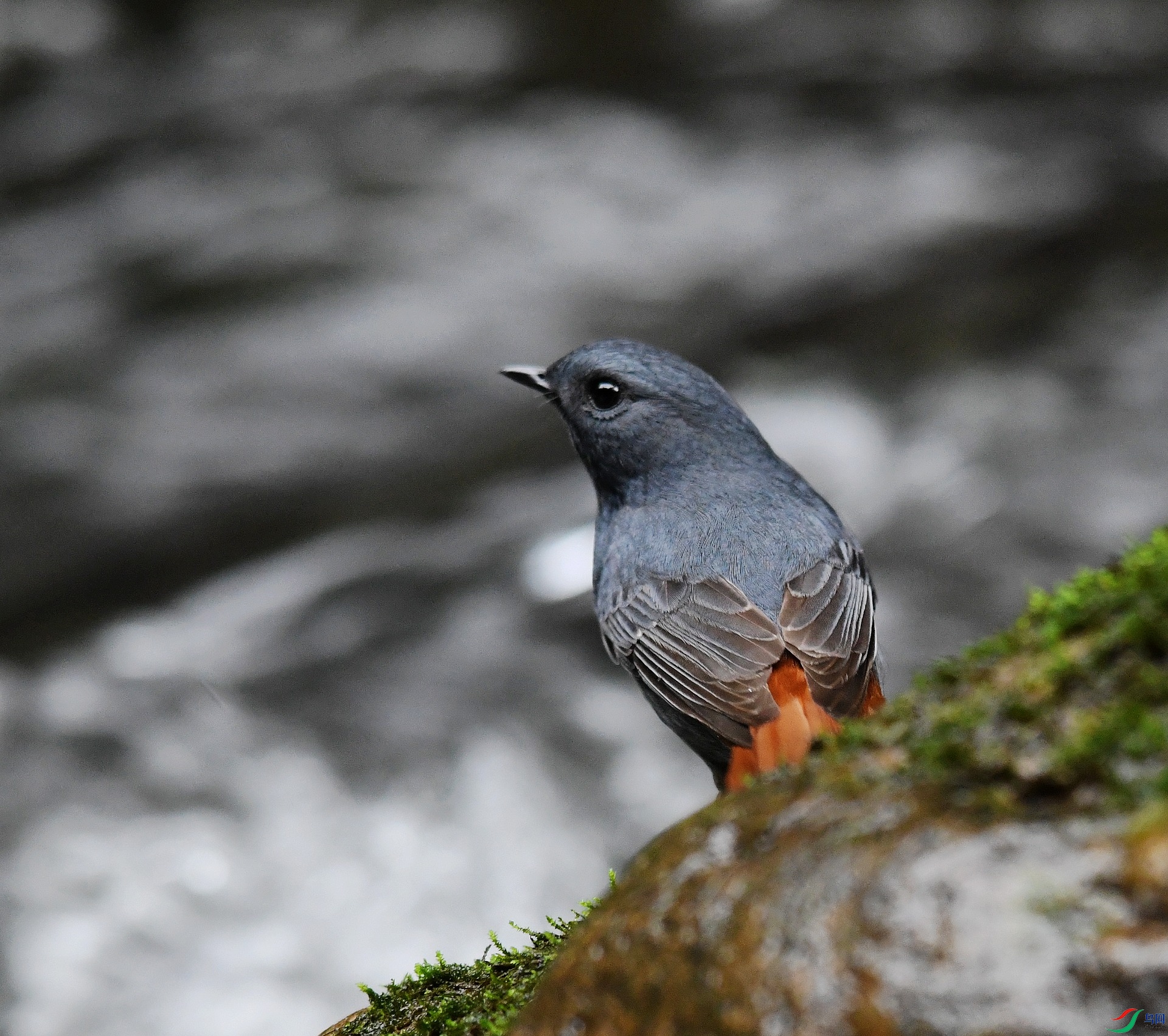 DSC_2521.jpg