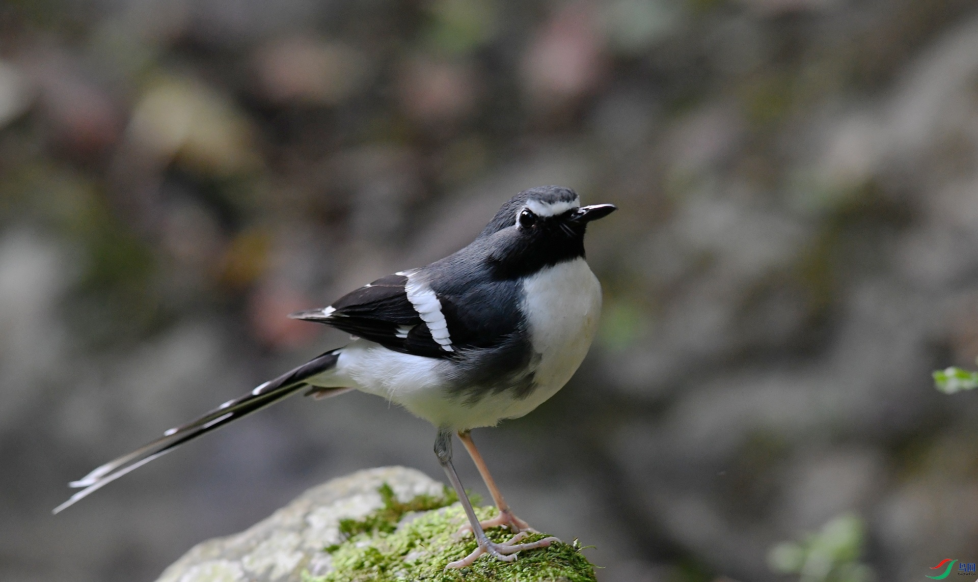 DSC_3605.jpg