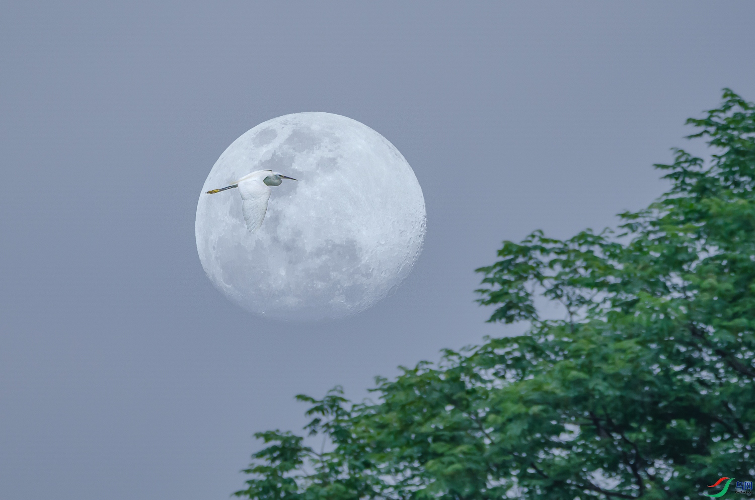 DSC_7226.2.jpg