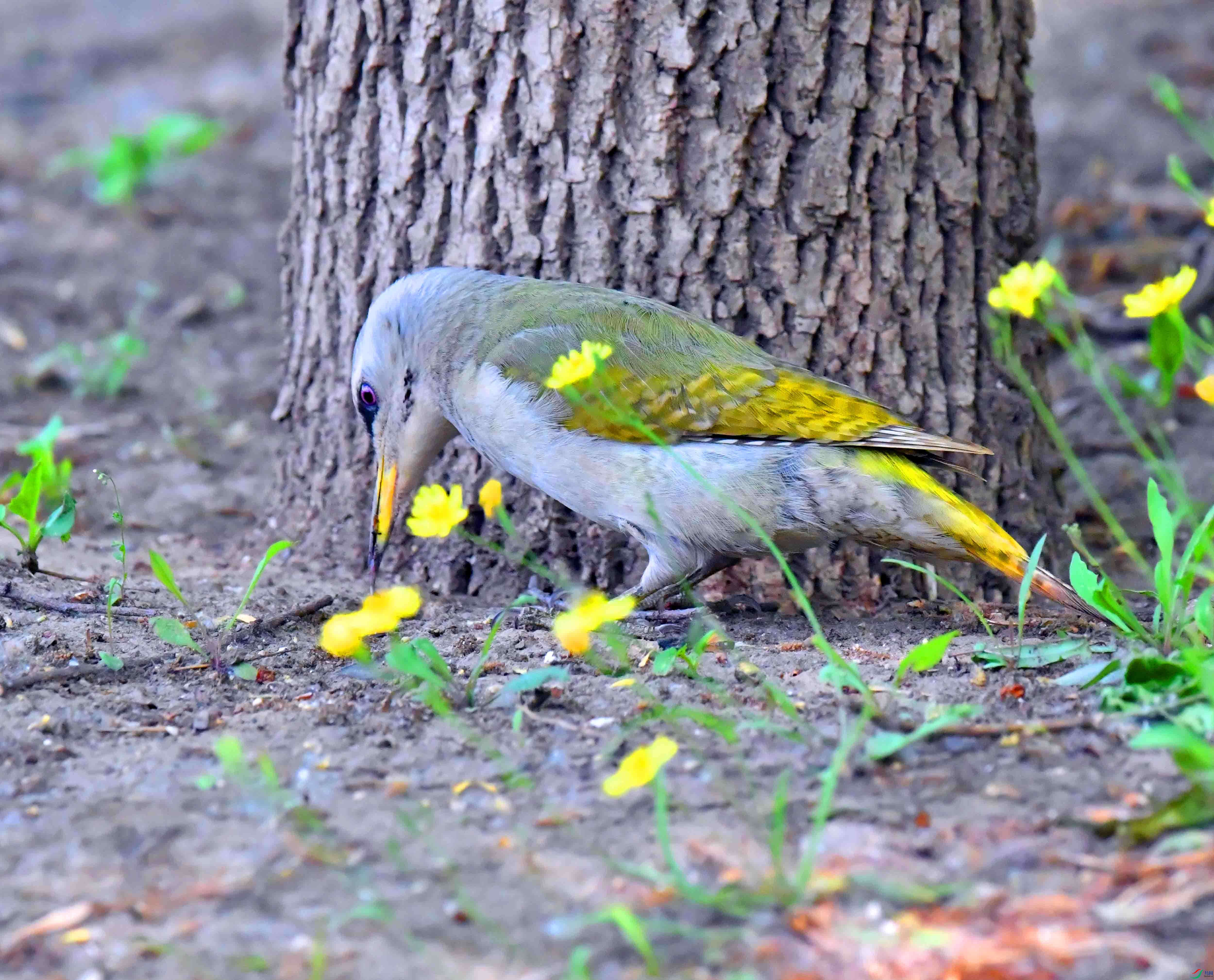 DSC_9758.JPG