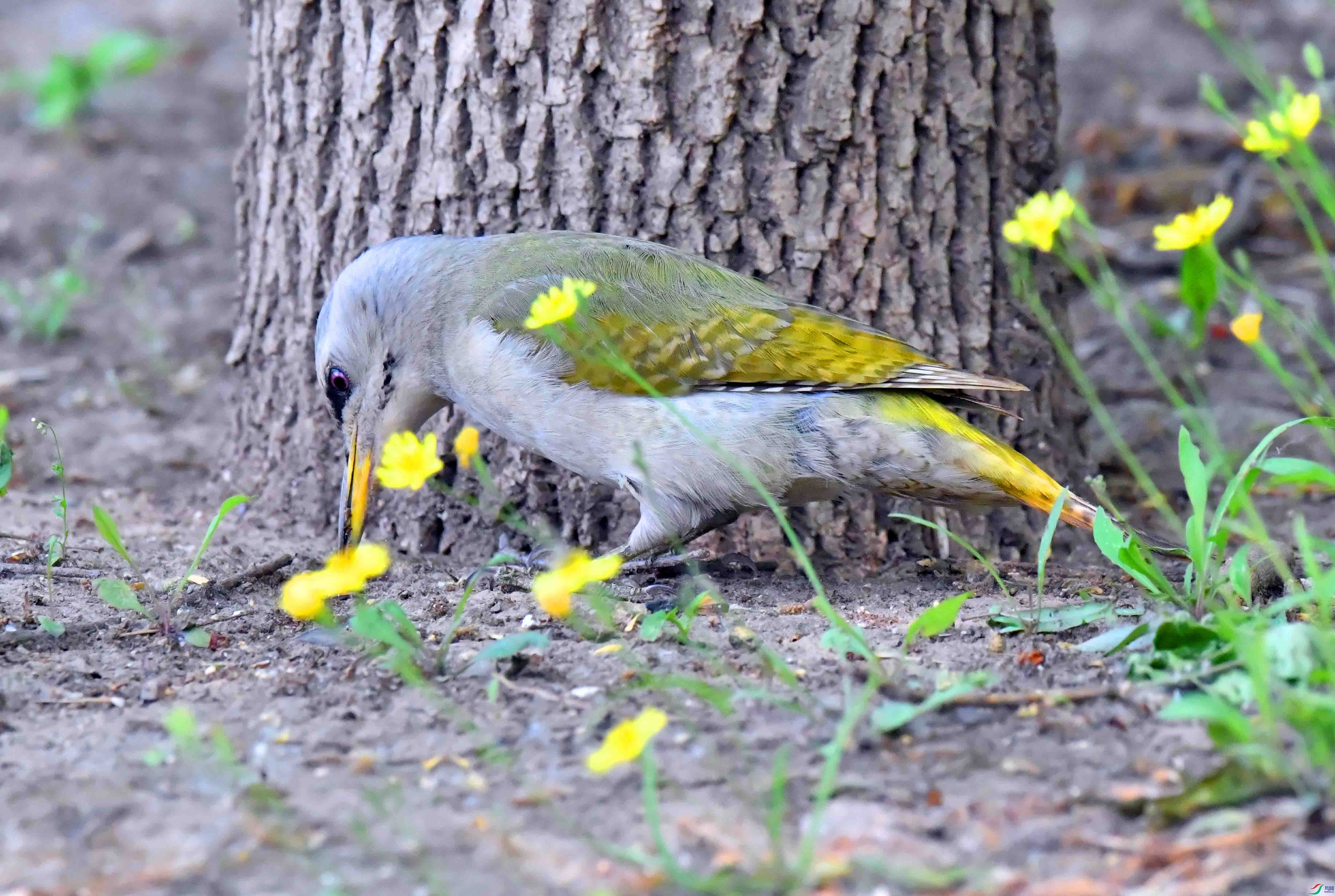 DSC_9757.JPG