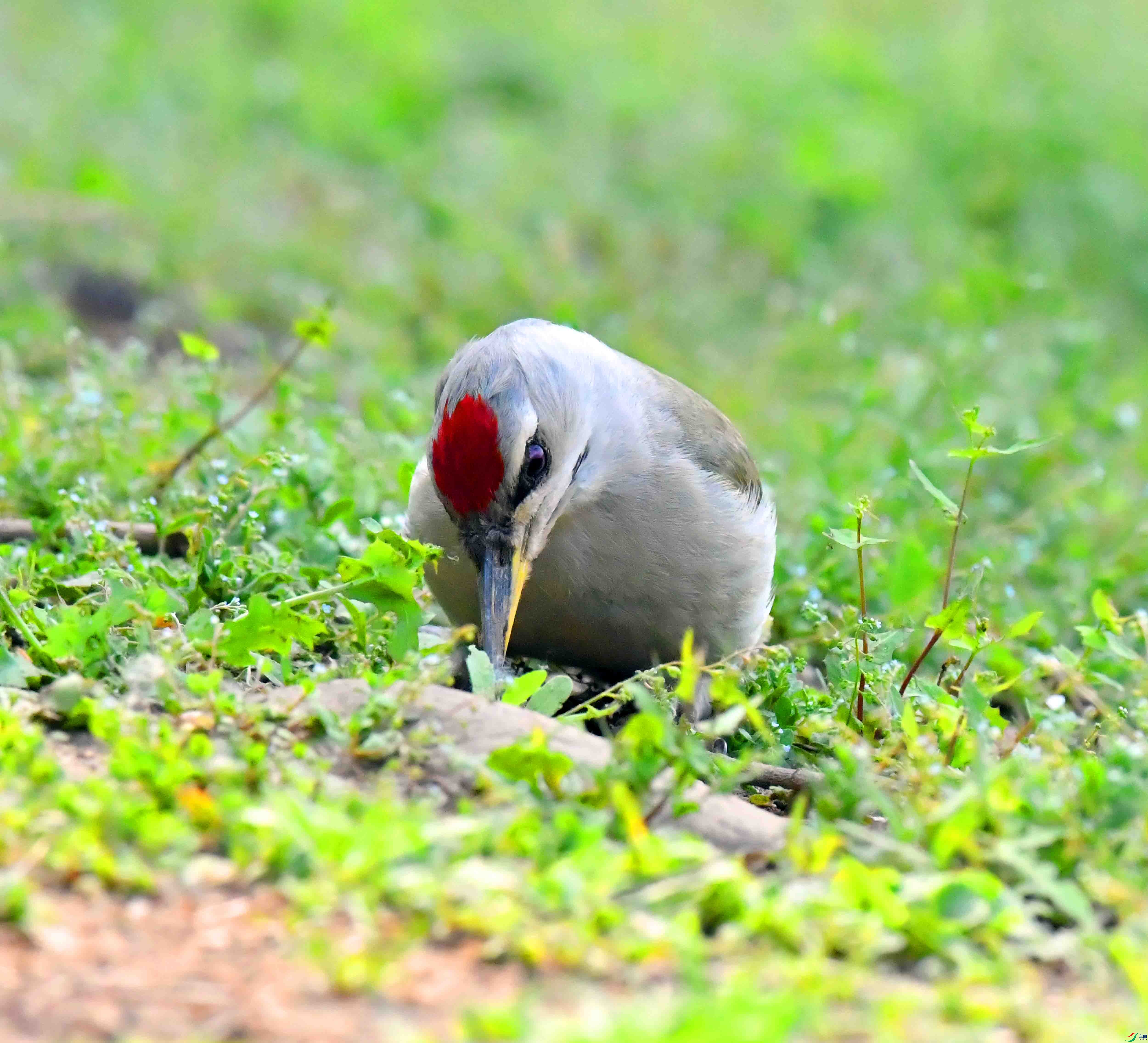 DSC_9929.JPG