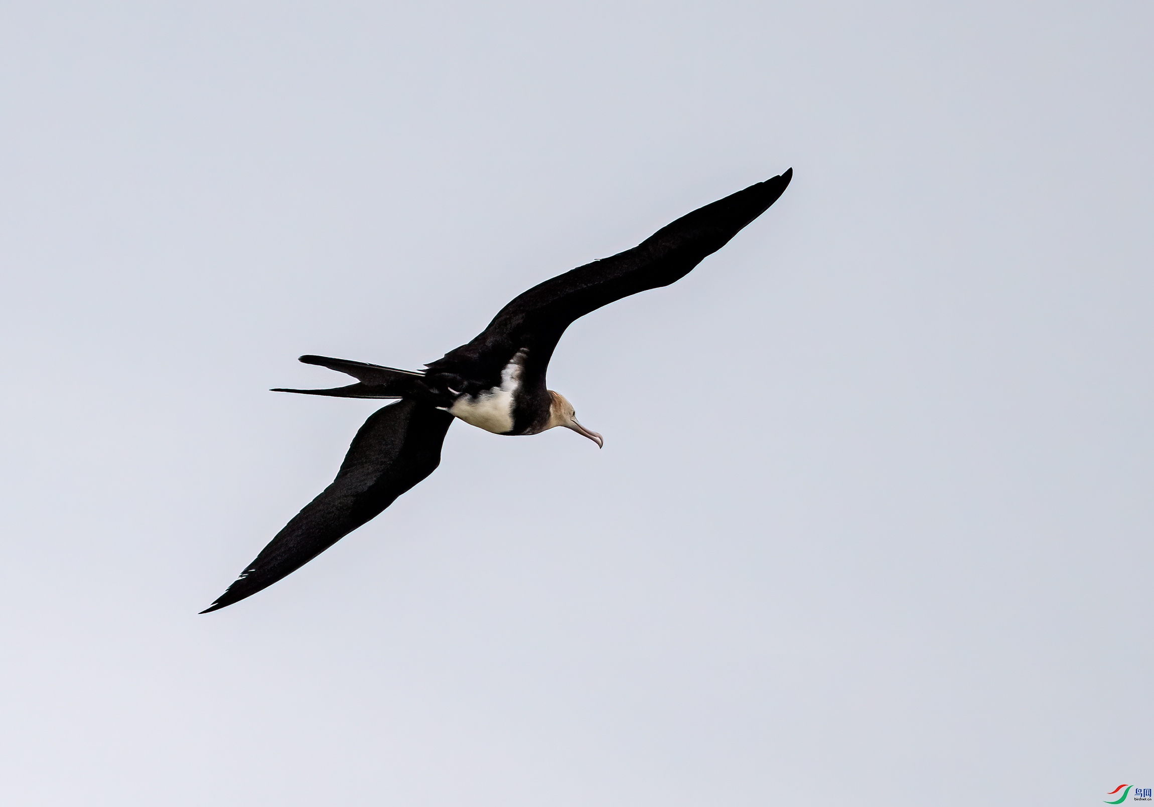 DSC_2531-11.jpg
