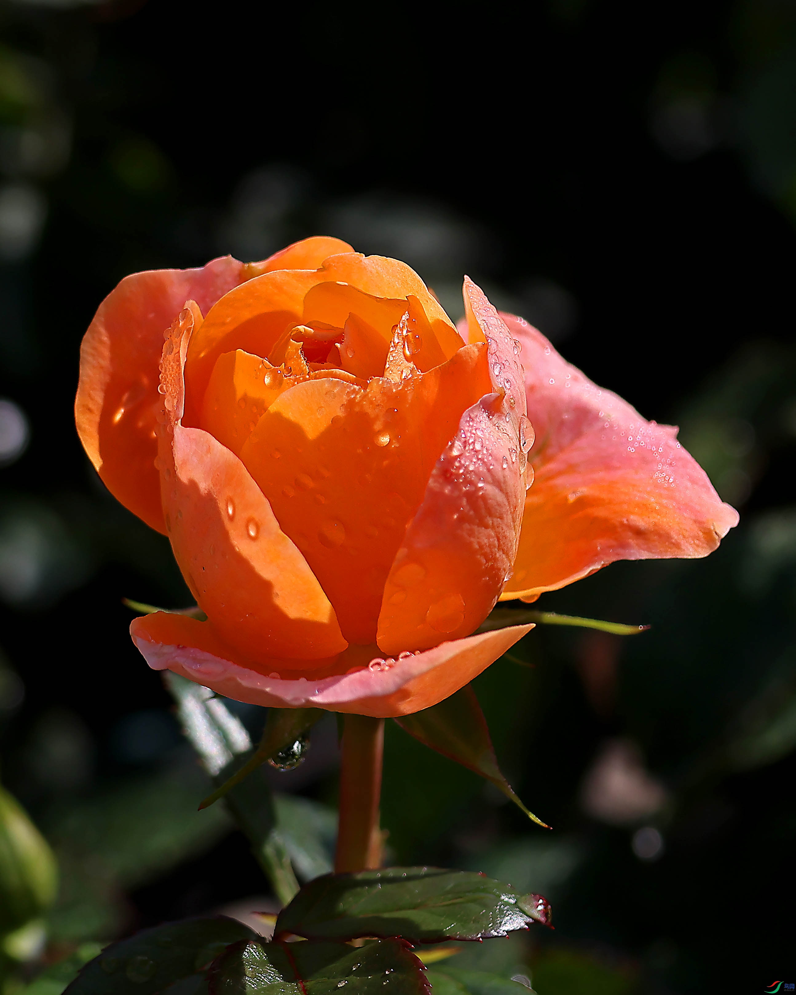 2G9A5821.JPG