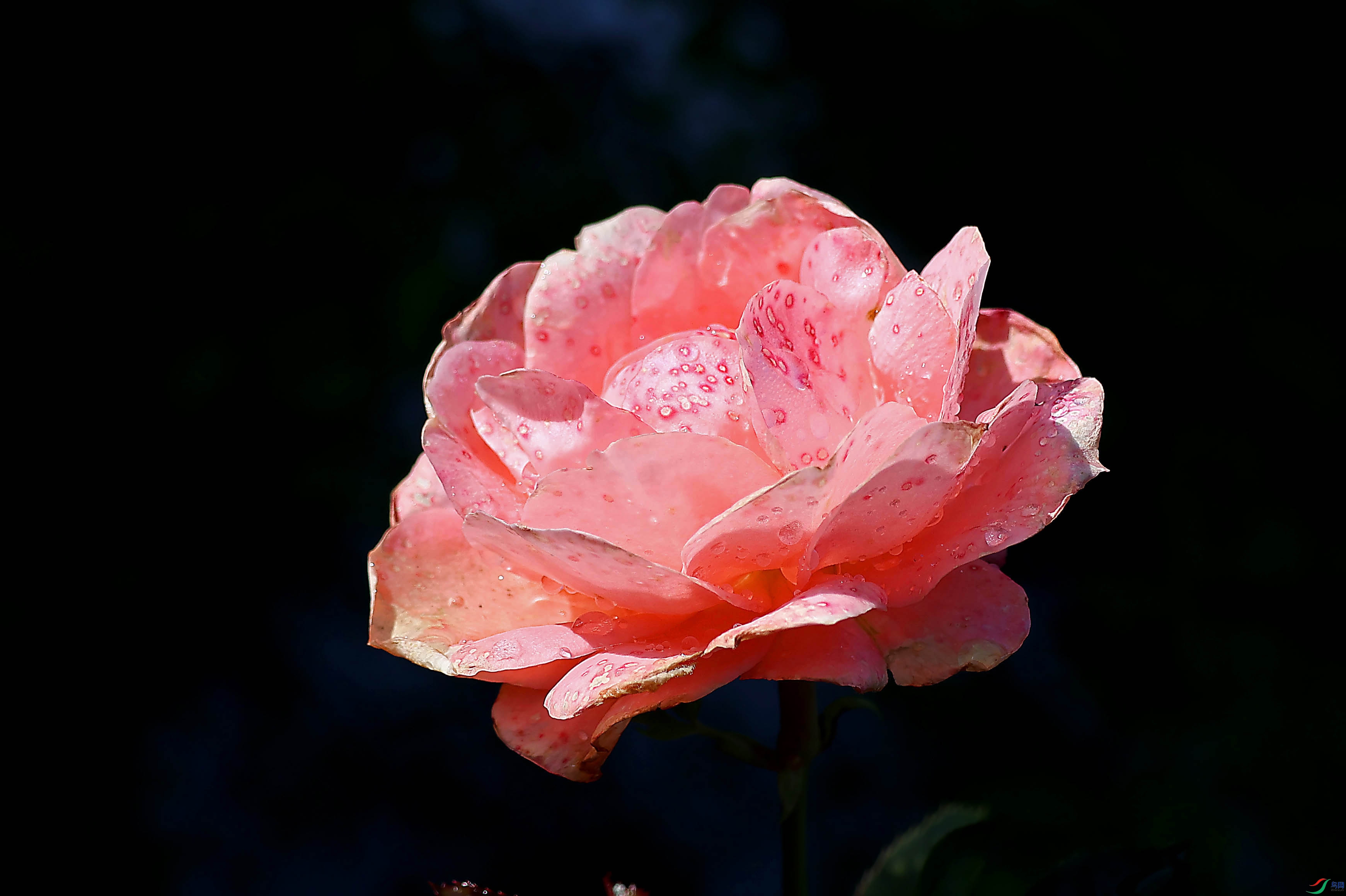 2G9A5814.JPG