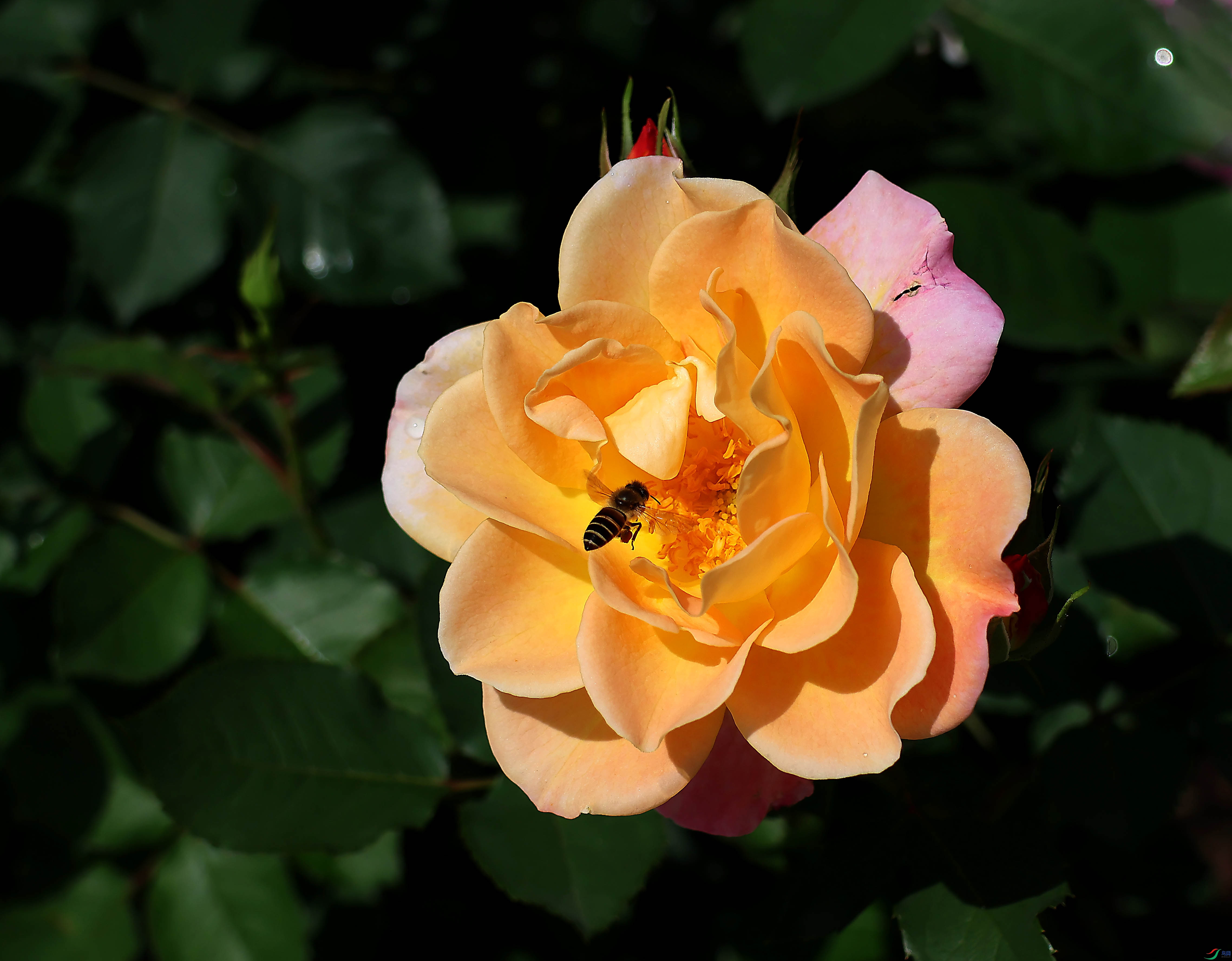 2G9A5823.JPG