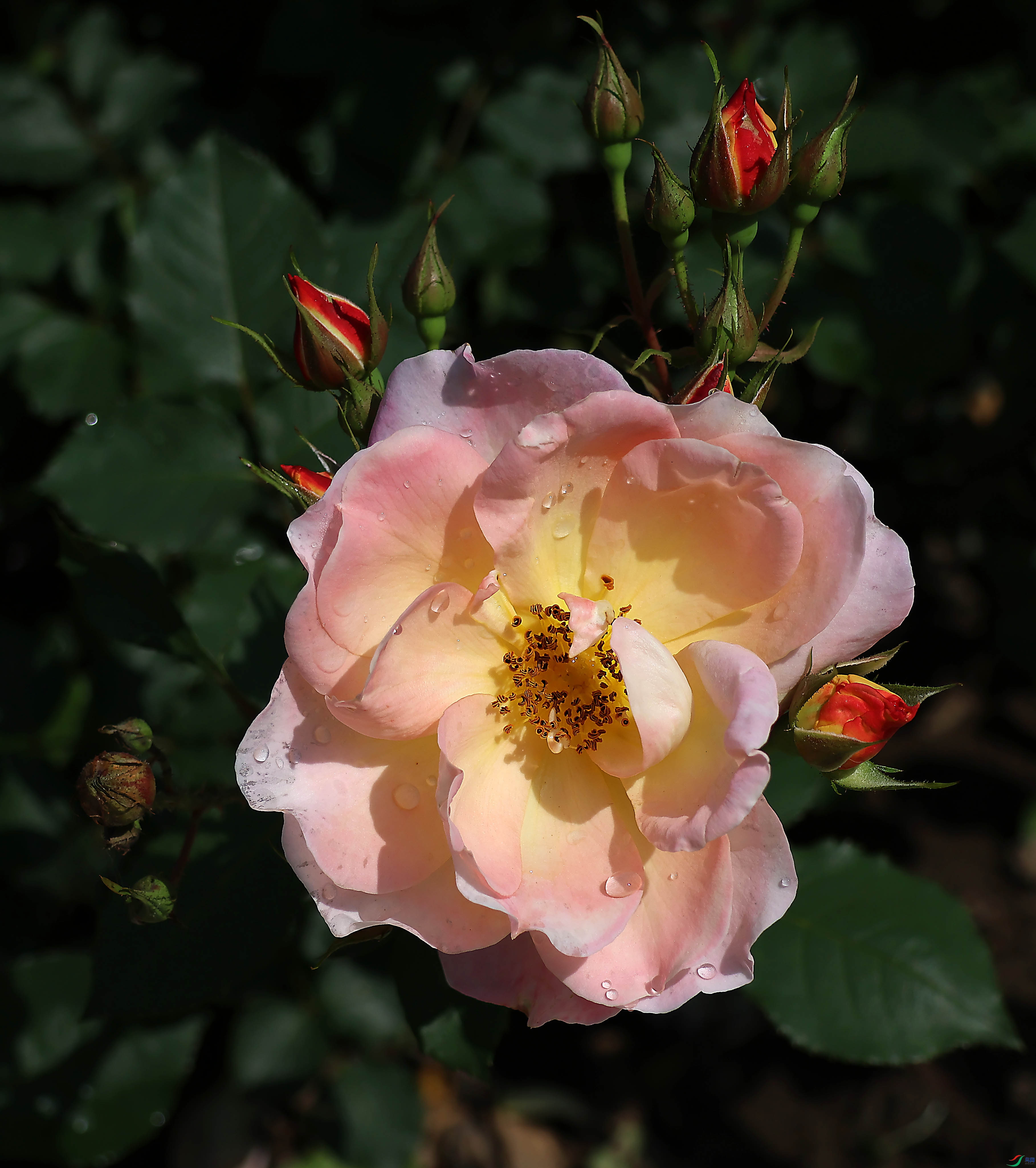 2G9A5824.JPG