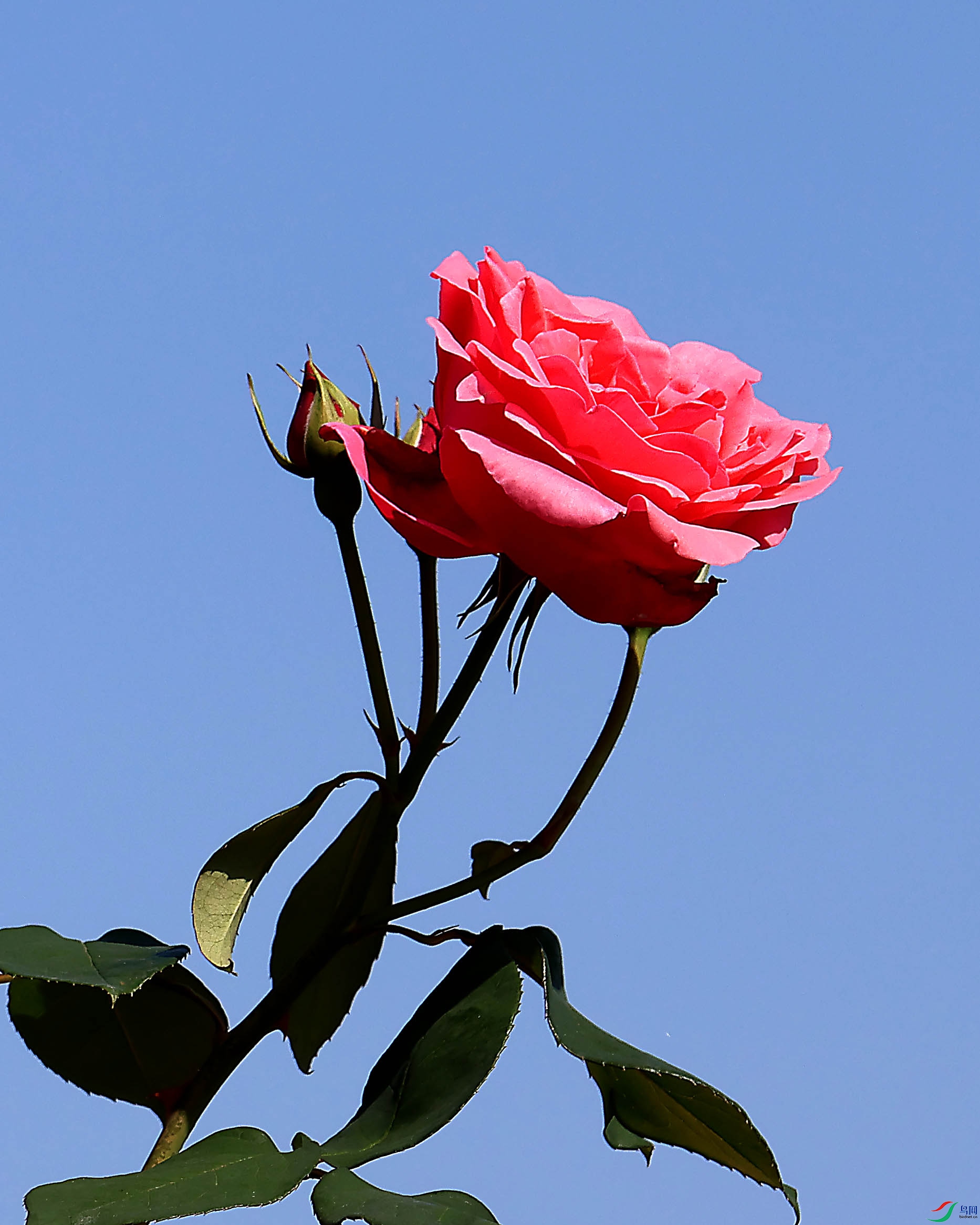 2G9A5826.JPG
