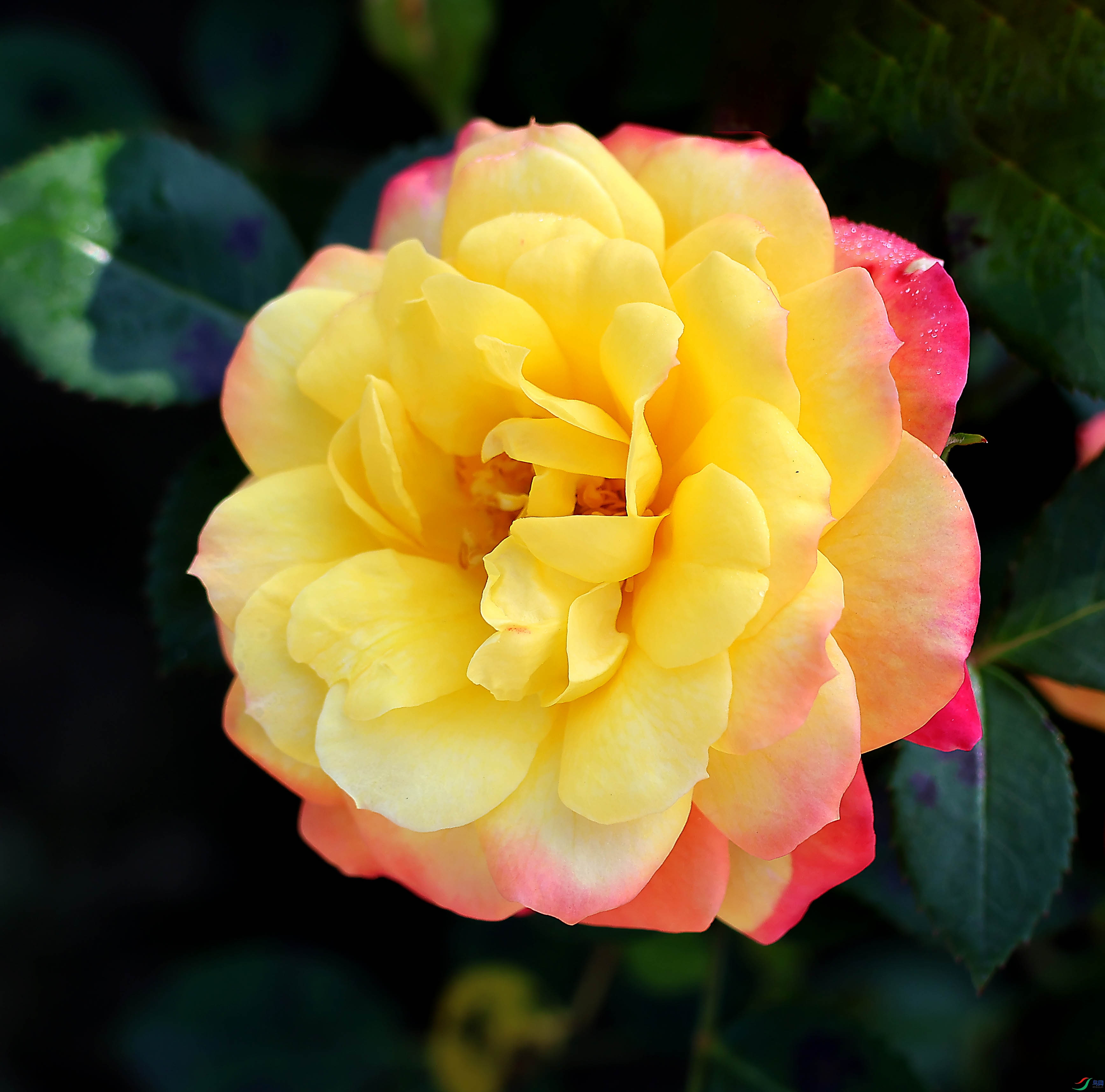 2G9A5833.JPG