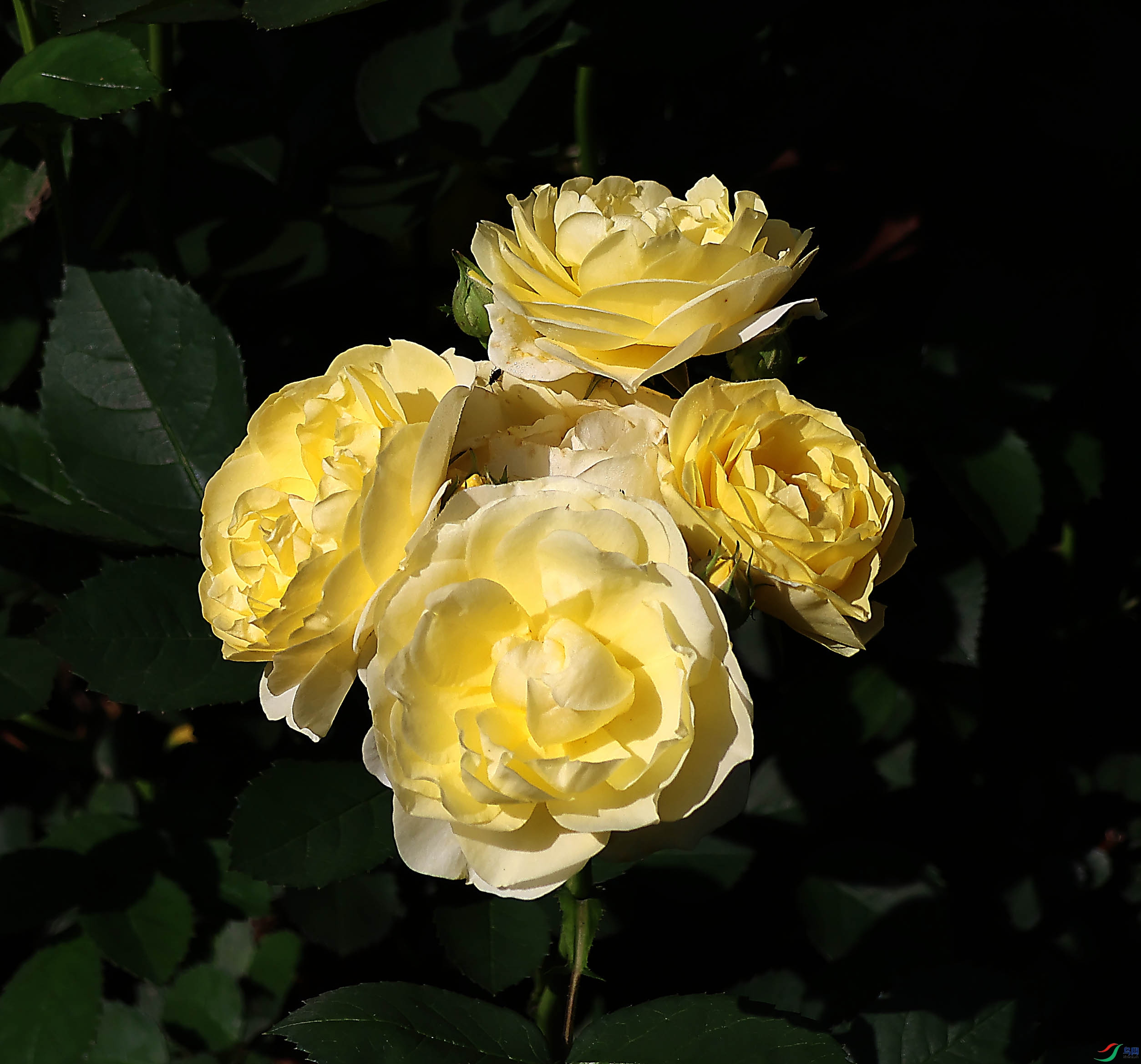 2G9A5839.JPG