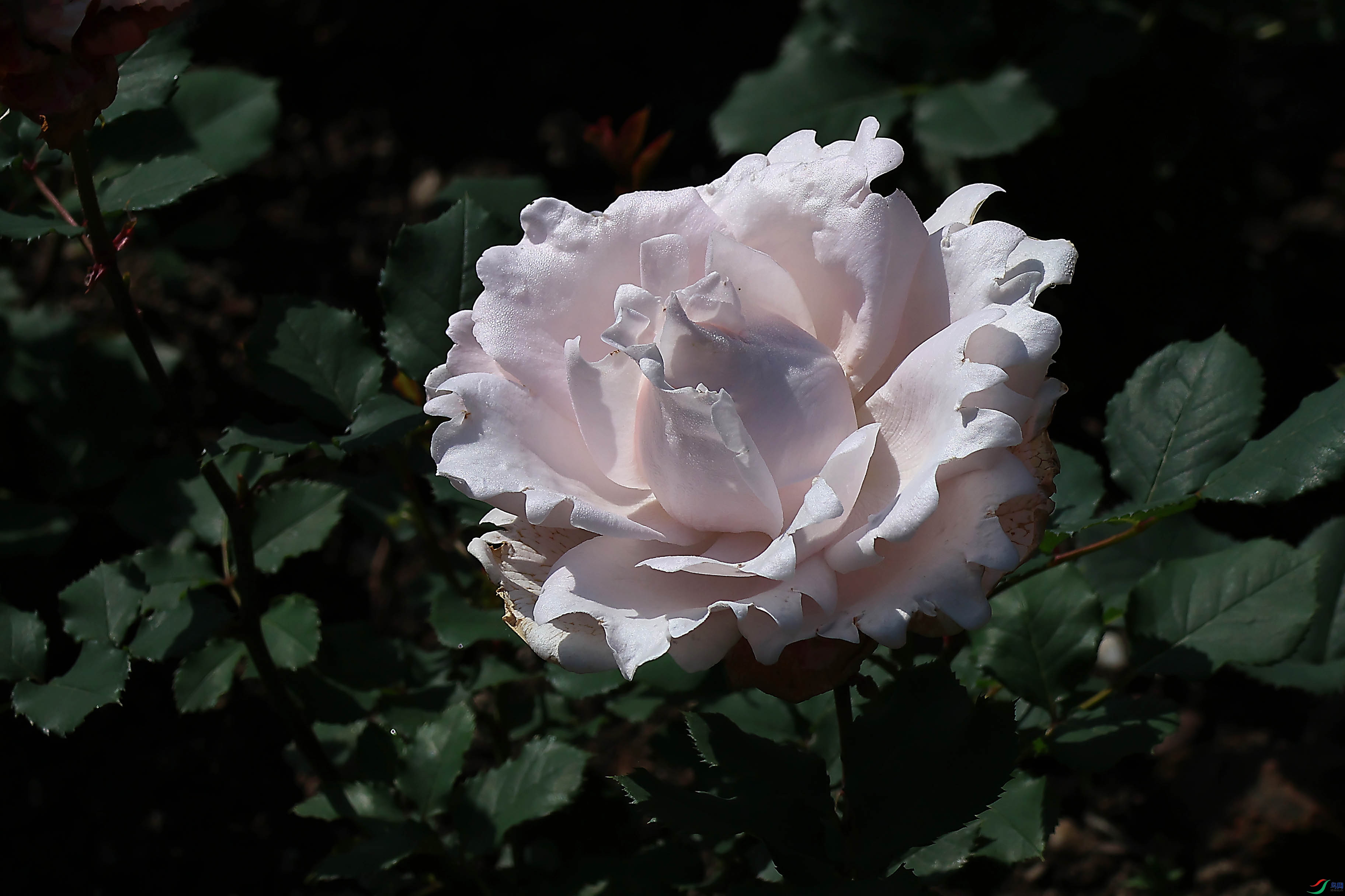 2G9A5840.JPG