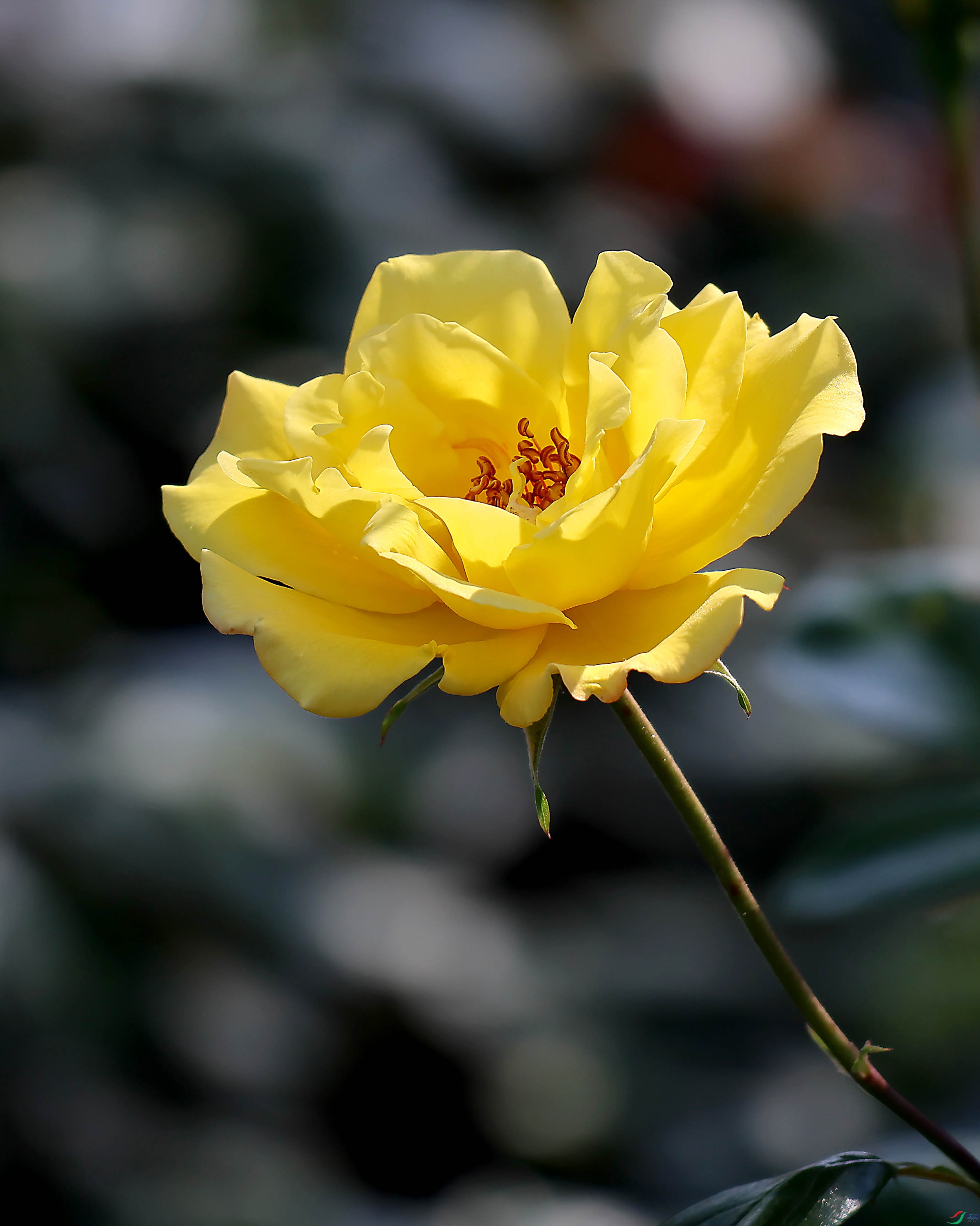 2G9A5842.JPG