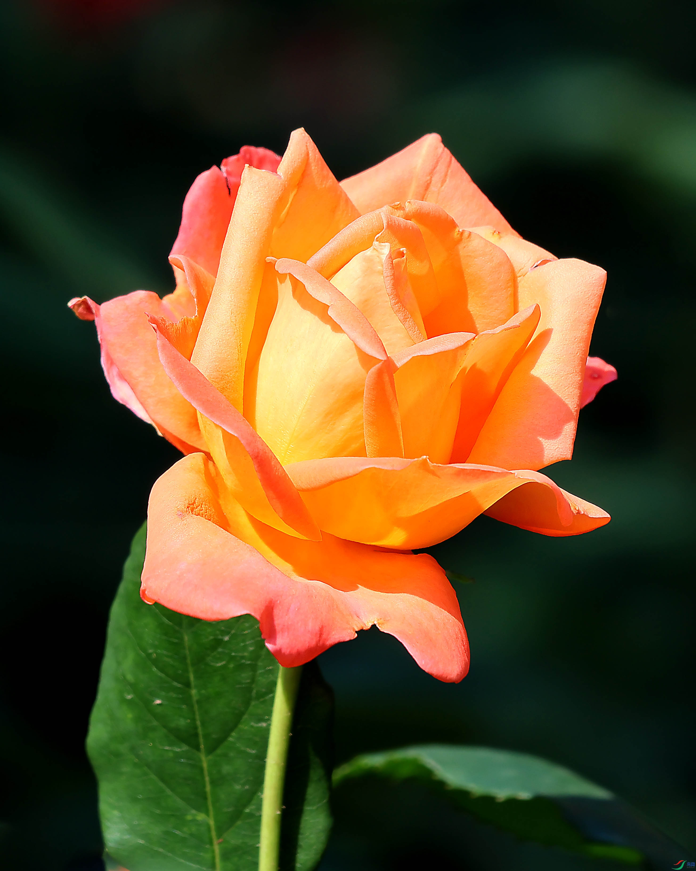 2G9A5844.JPG