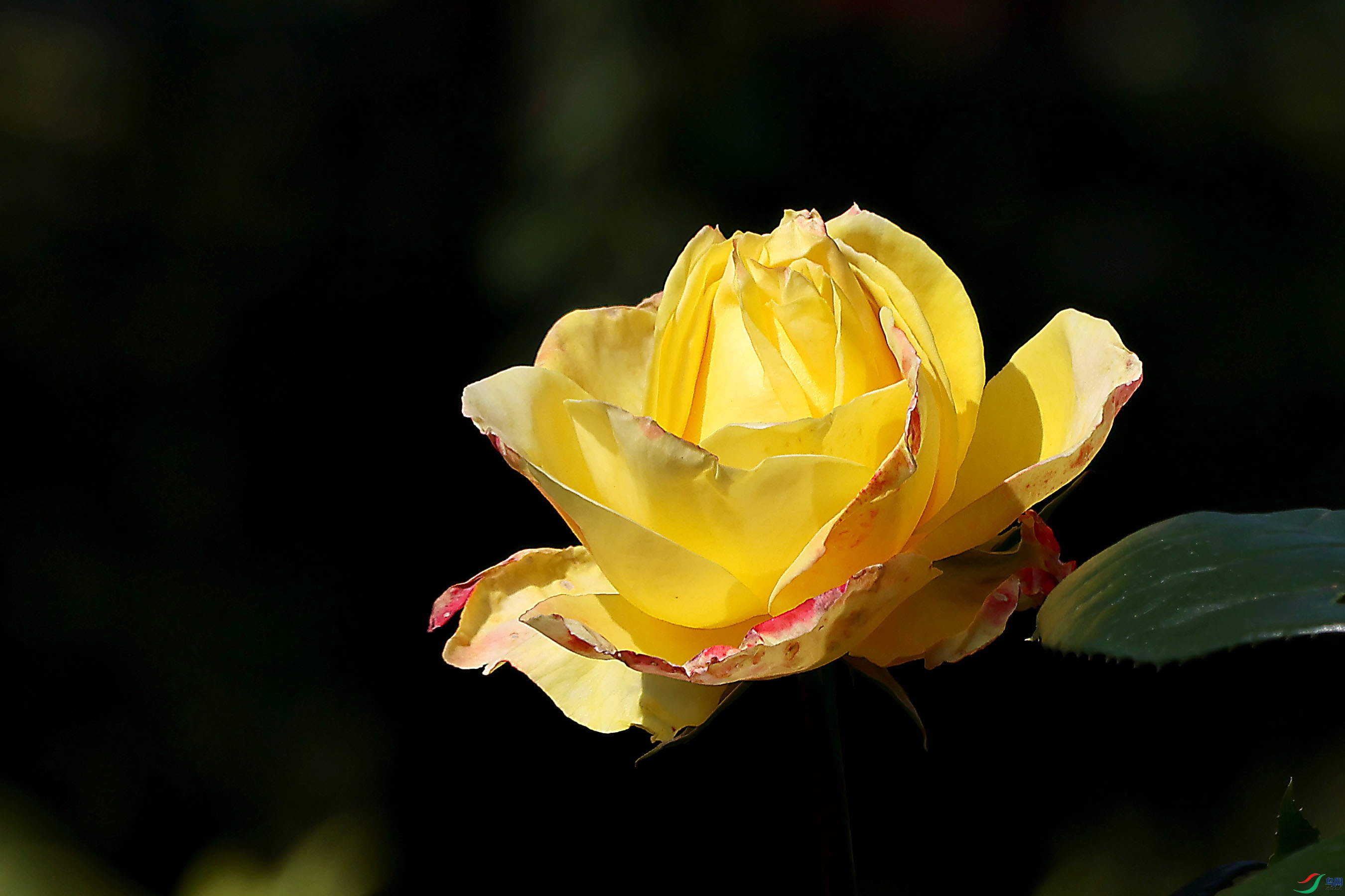2G9A5846.JPG