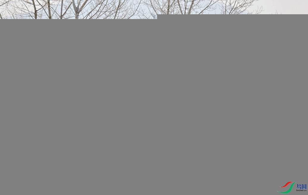 �m����