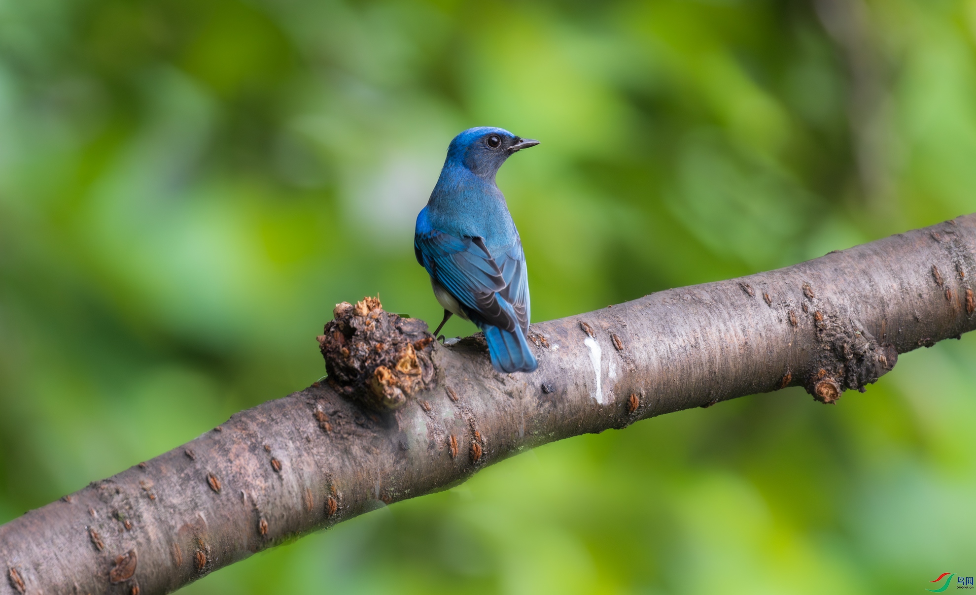 DSC_6793.jpg