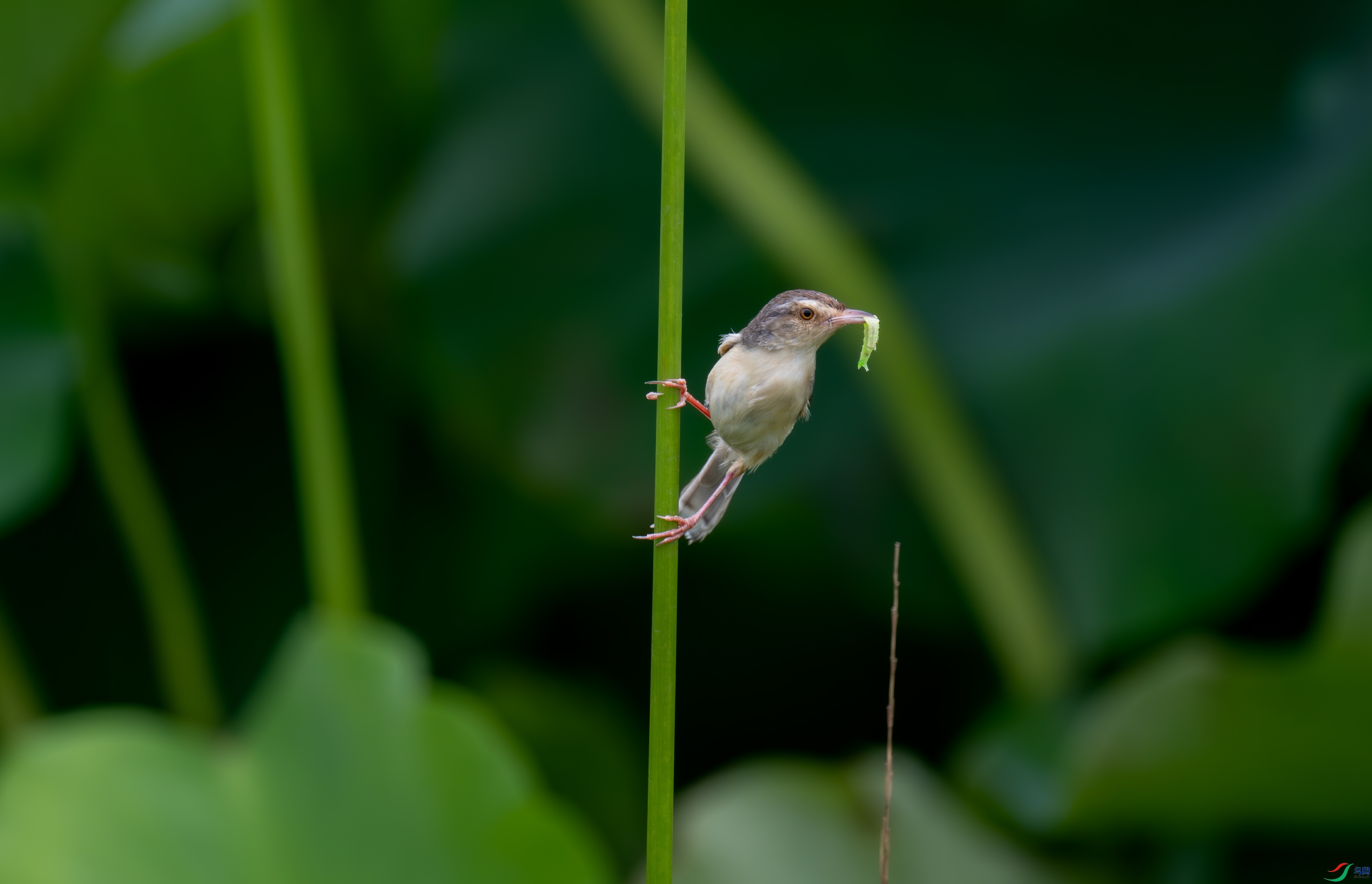 DSC_4361.jpg