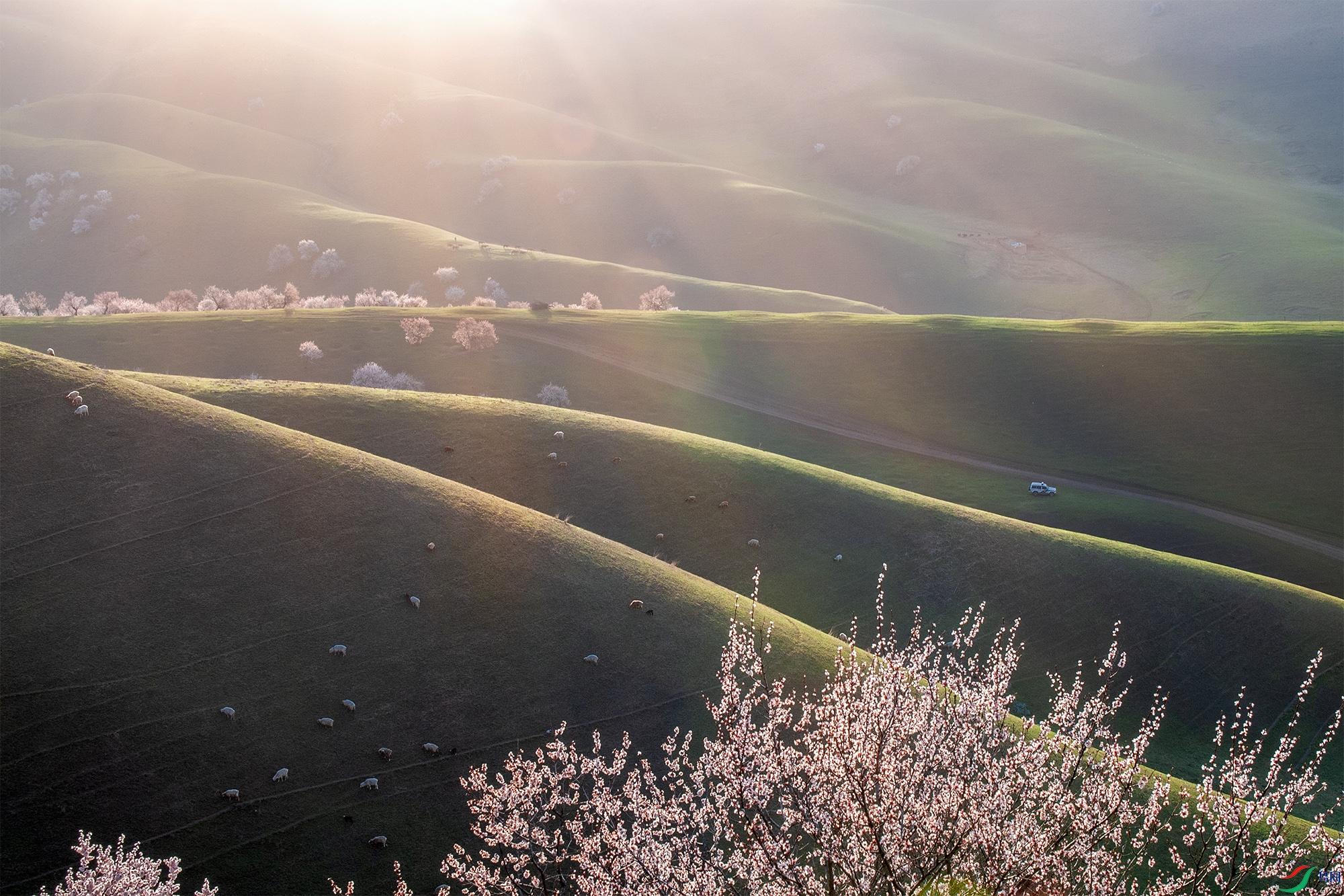 DSC_1105 ����.jpg