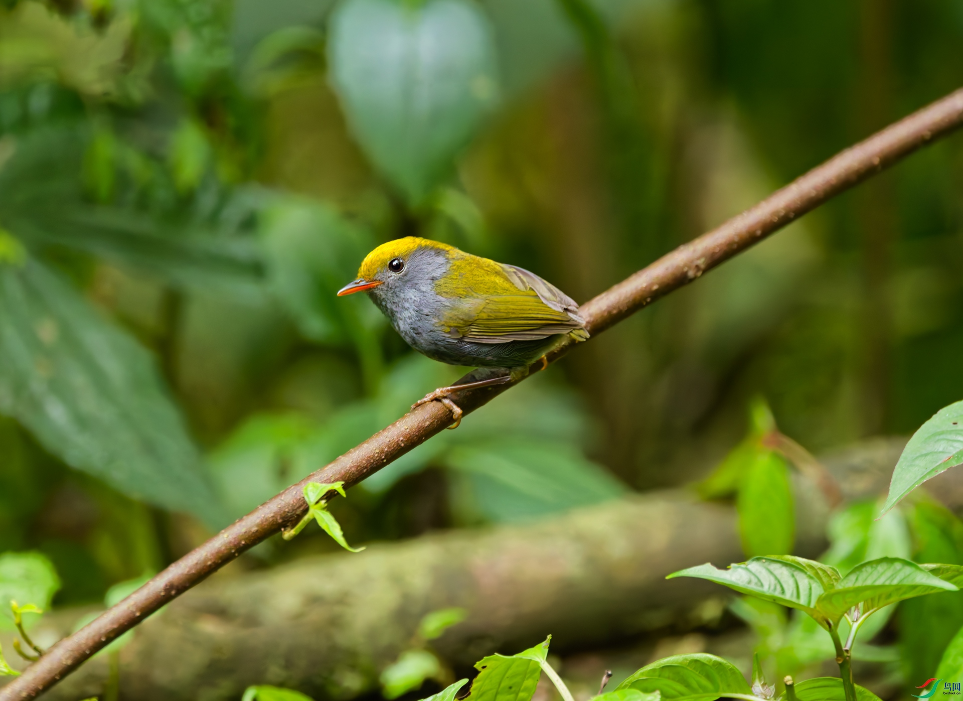 364A6136_DxO-2.jpg