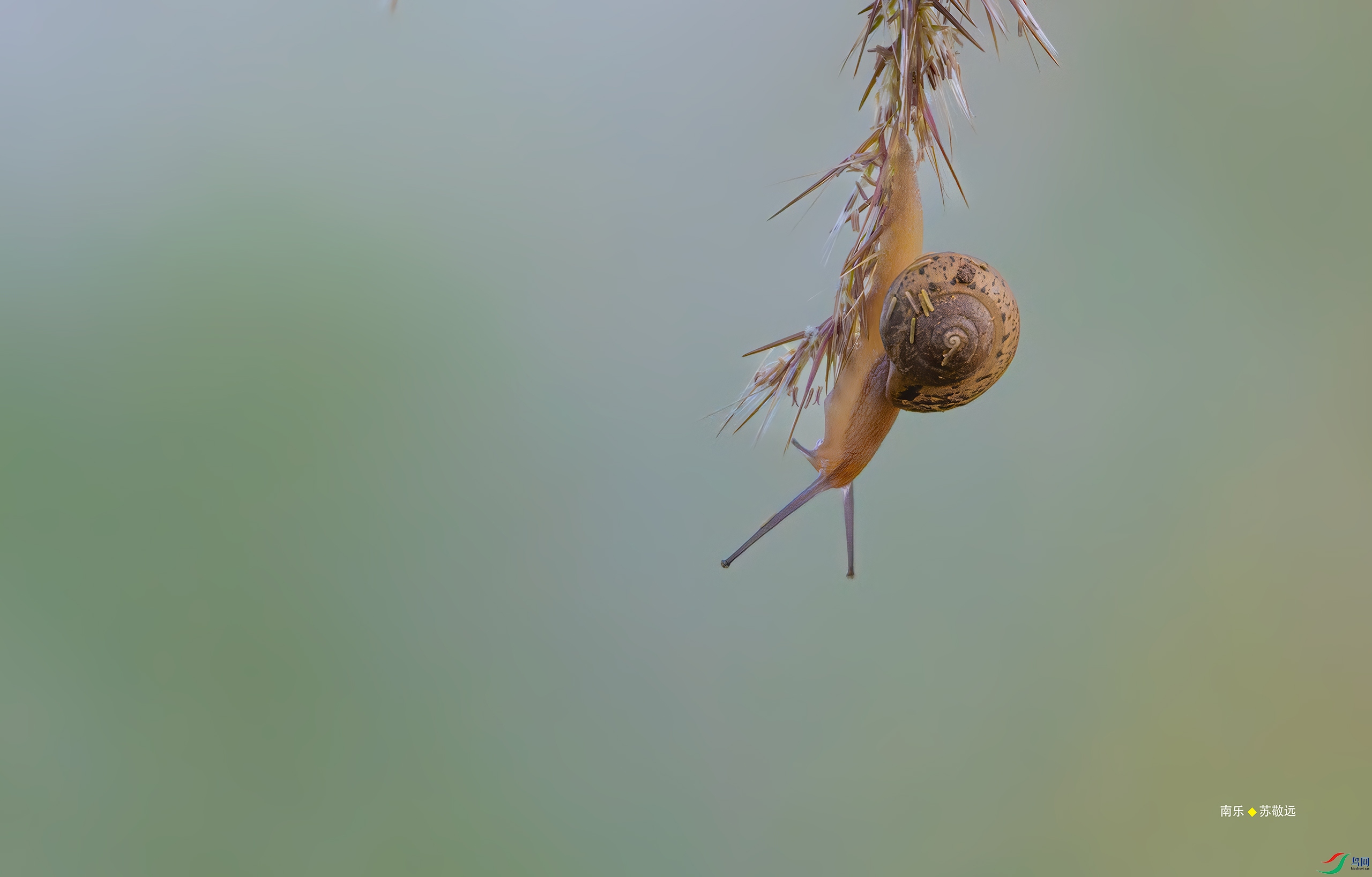 _DSC8189-DxO_С.jpg