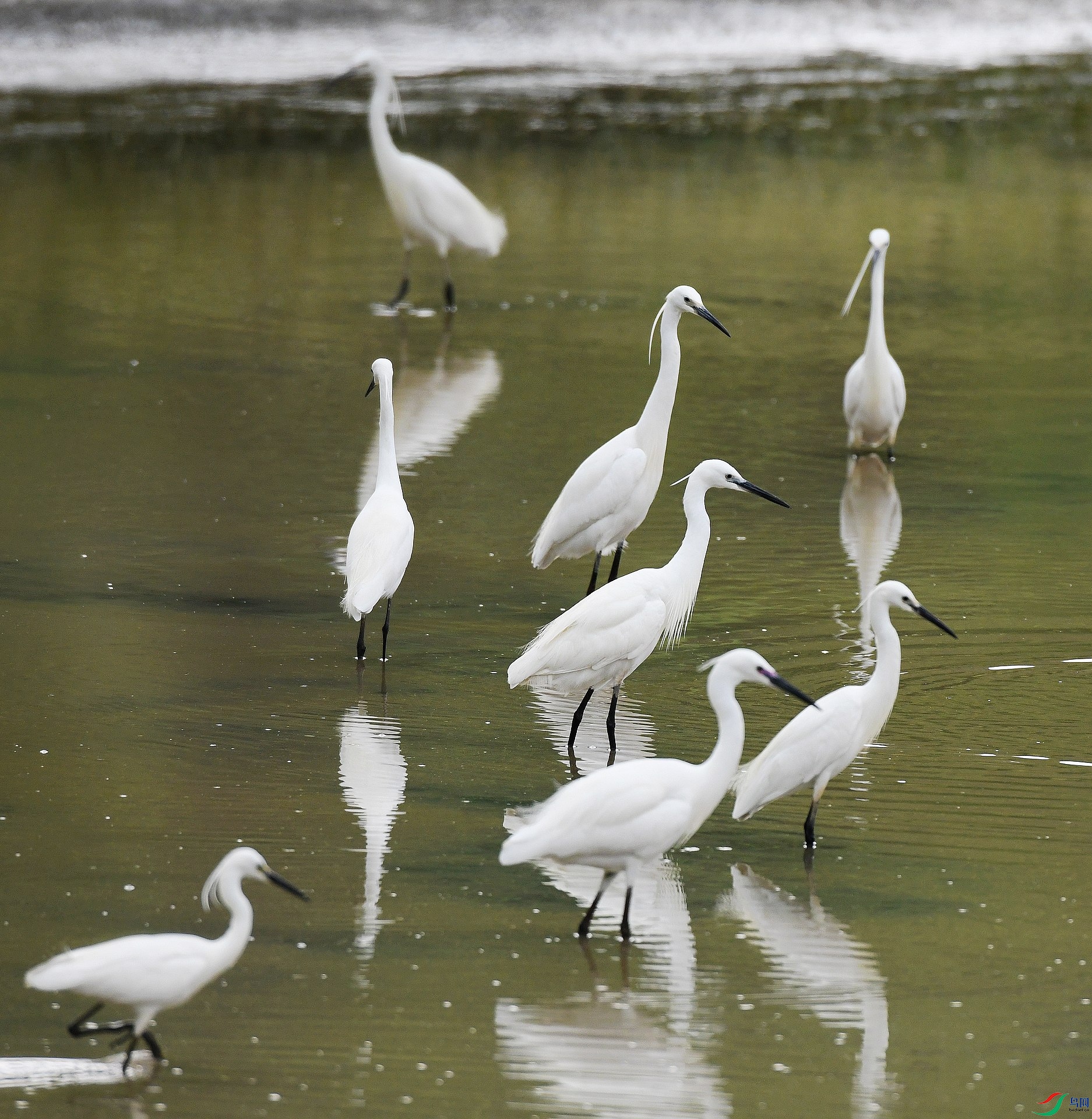 DSC_6727.jpg
