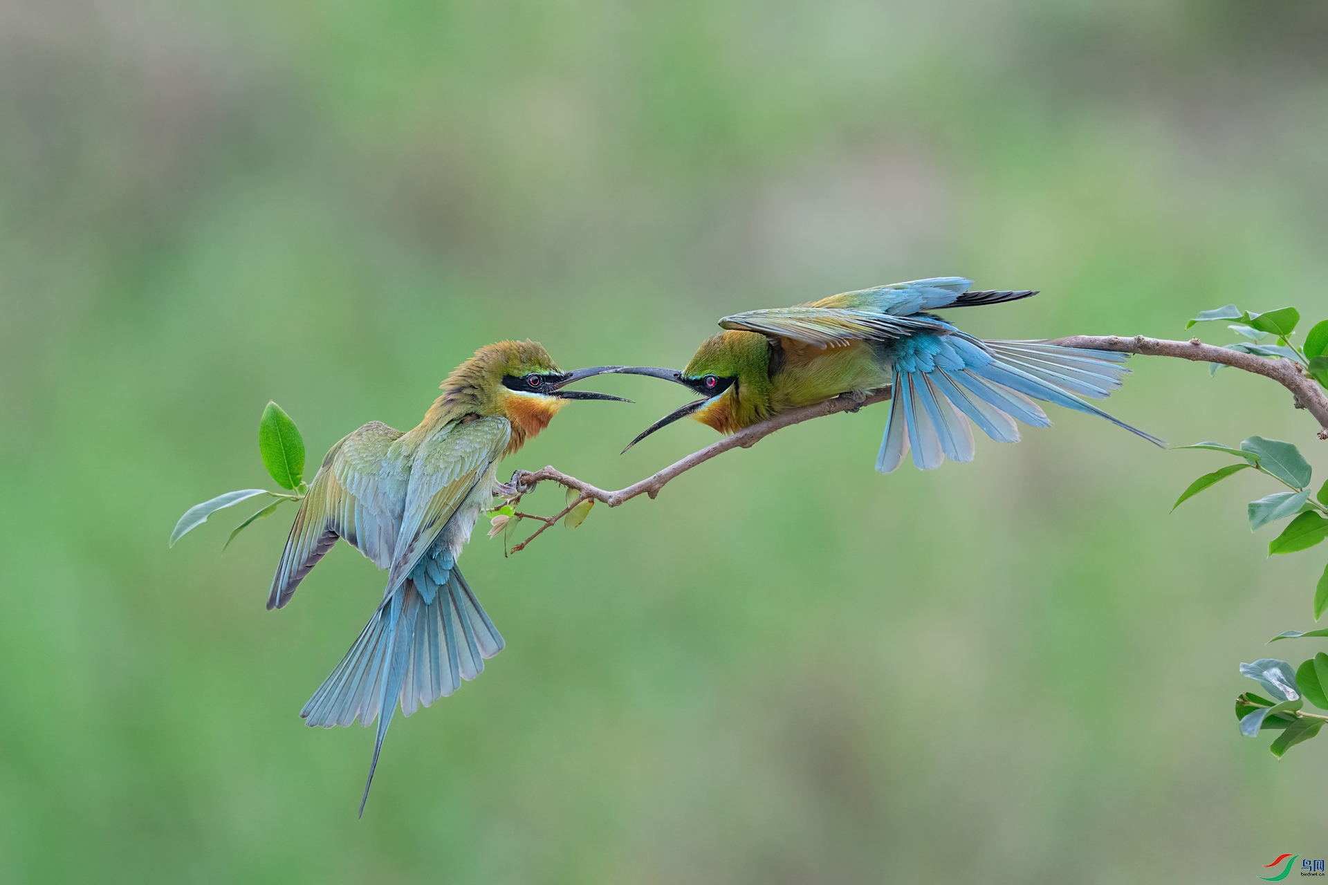 DSC_2972.jpg