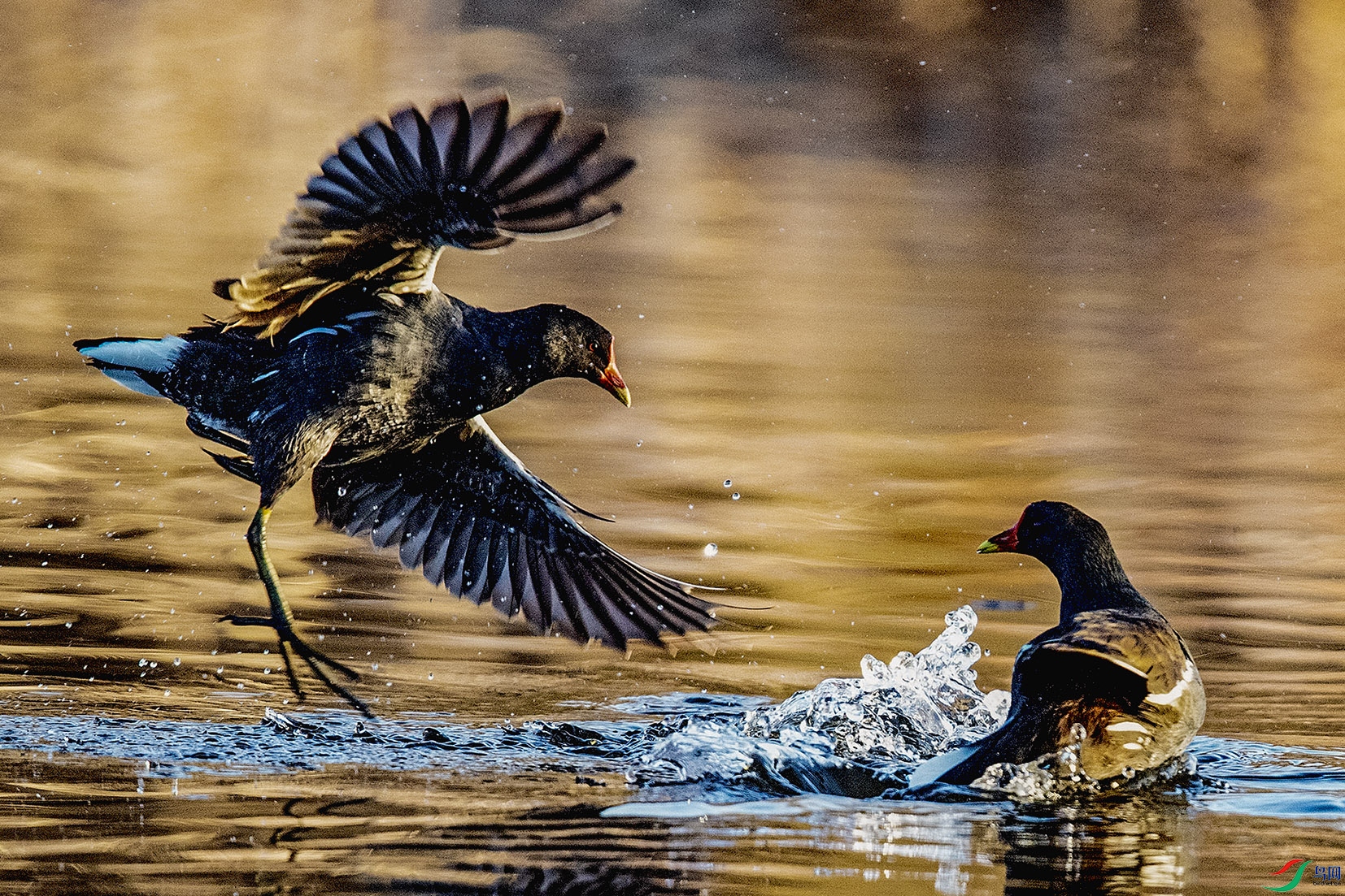 _90I3012 ���� 2.jpg