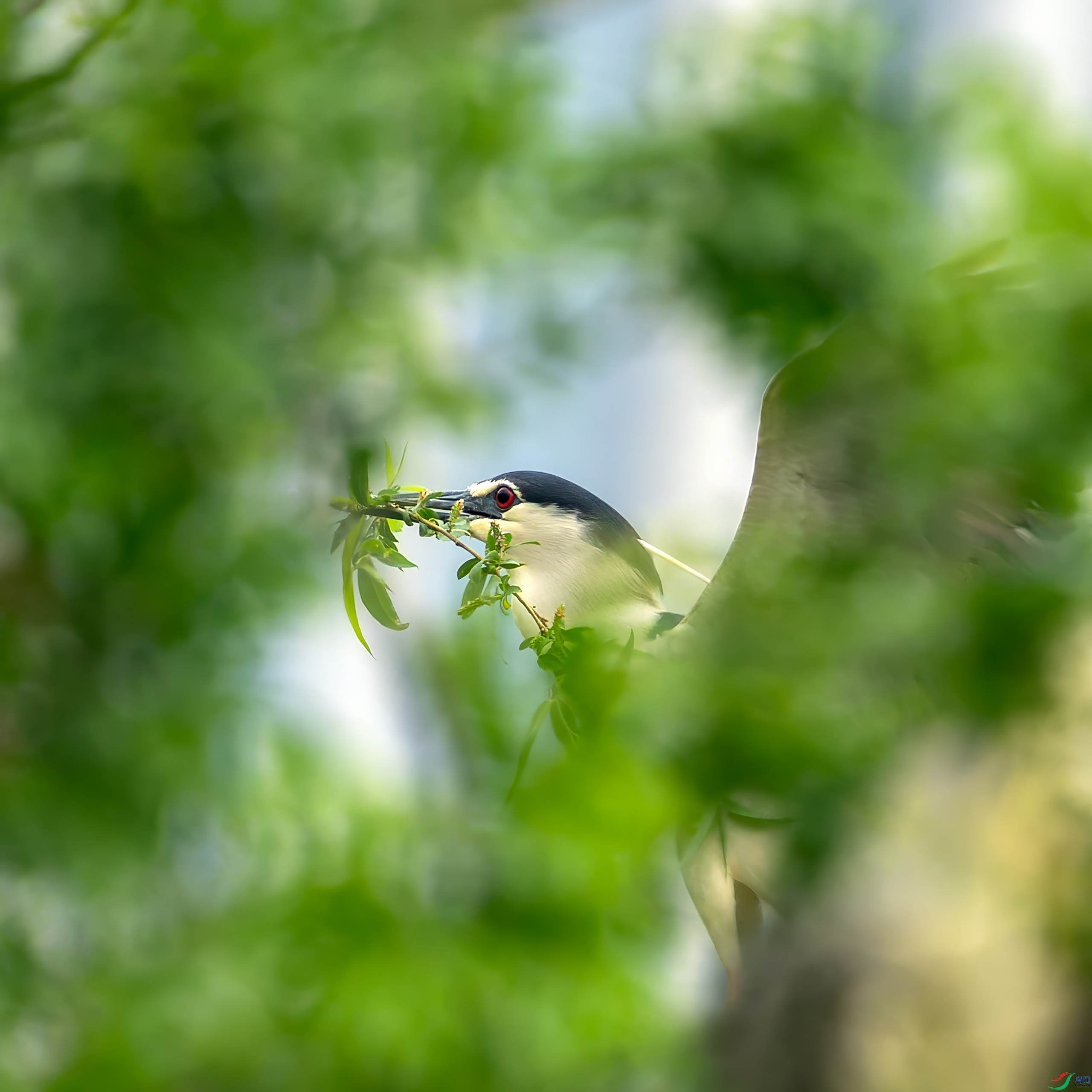 DSC04820_O.jpg