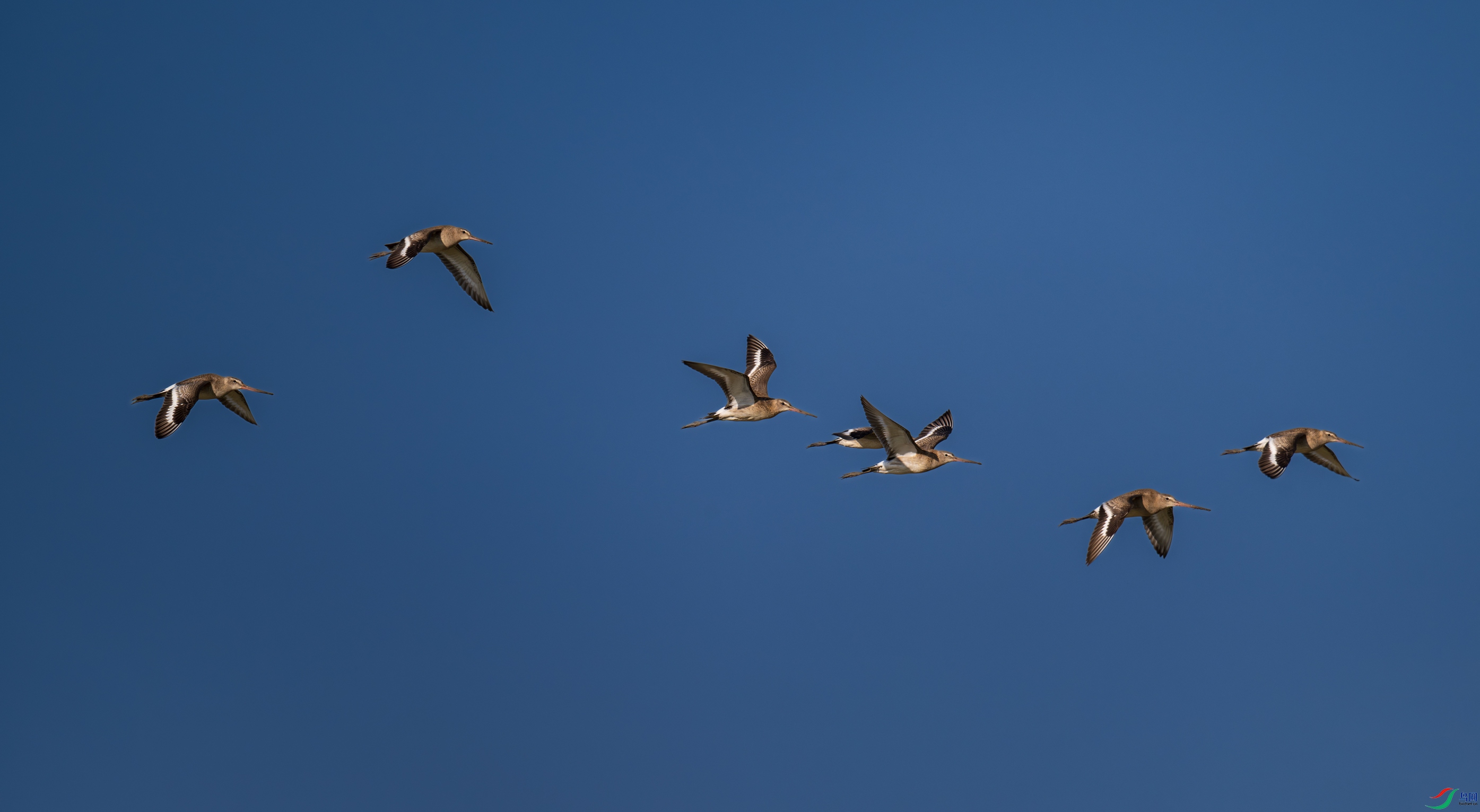 DSC_0329.jpg