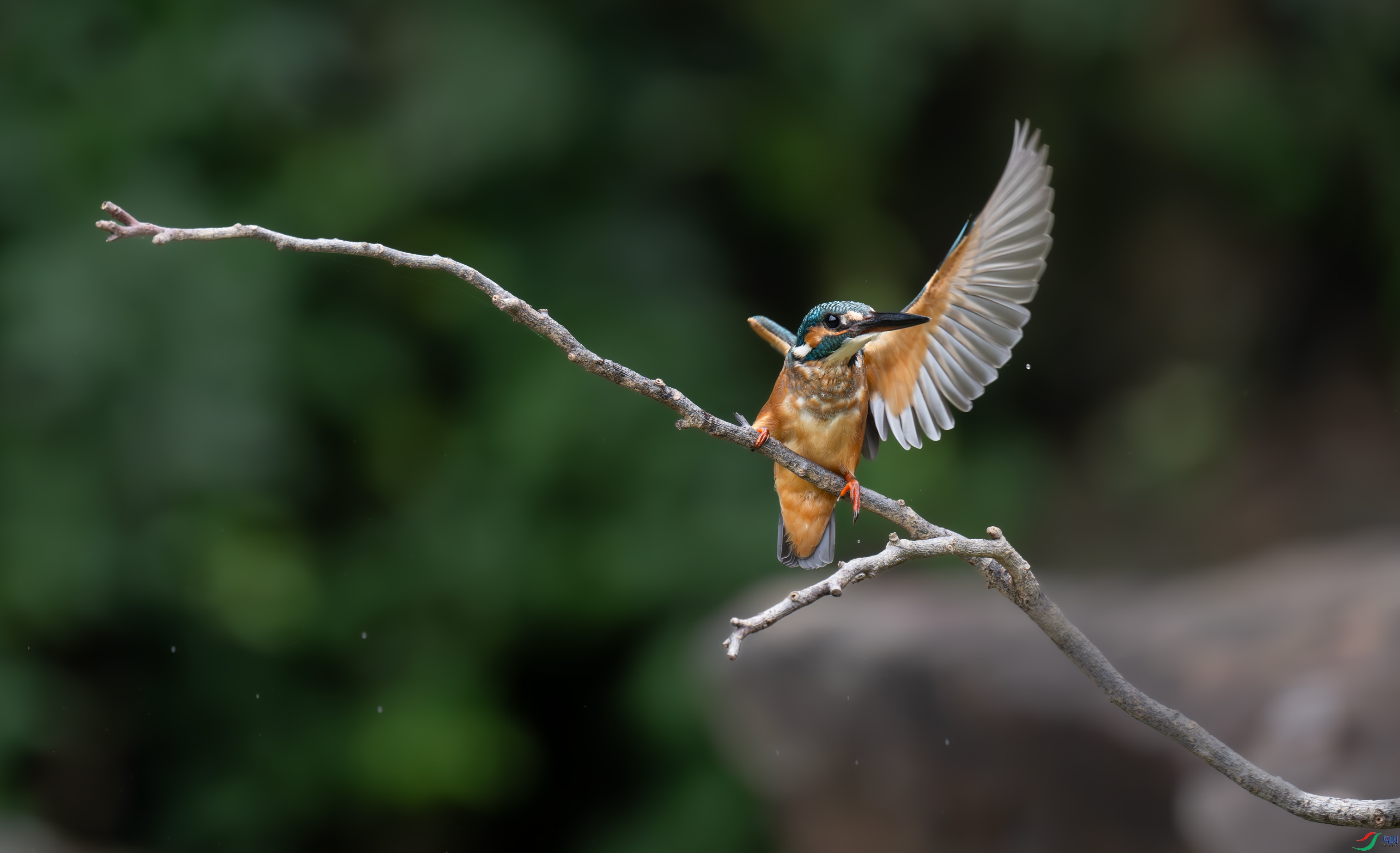 DSC_4897.jpg