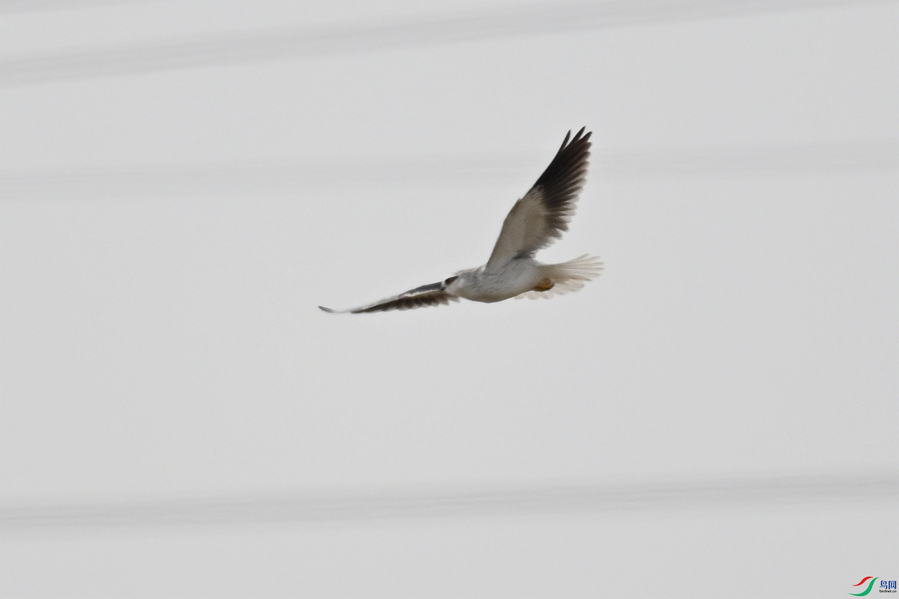 DSC_8004.JPG