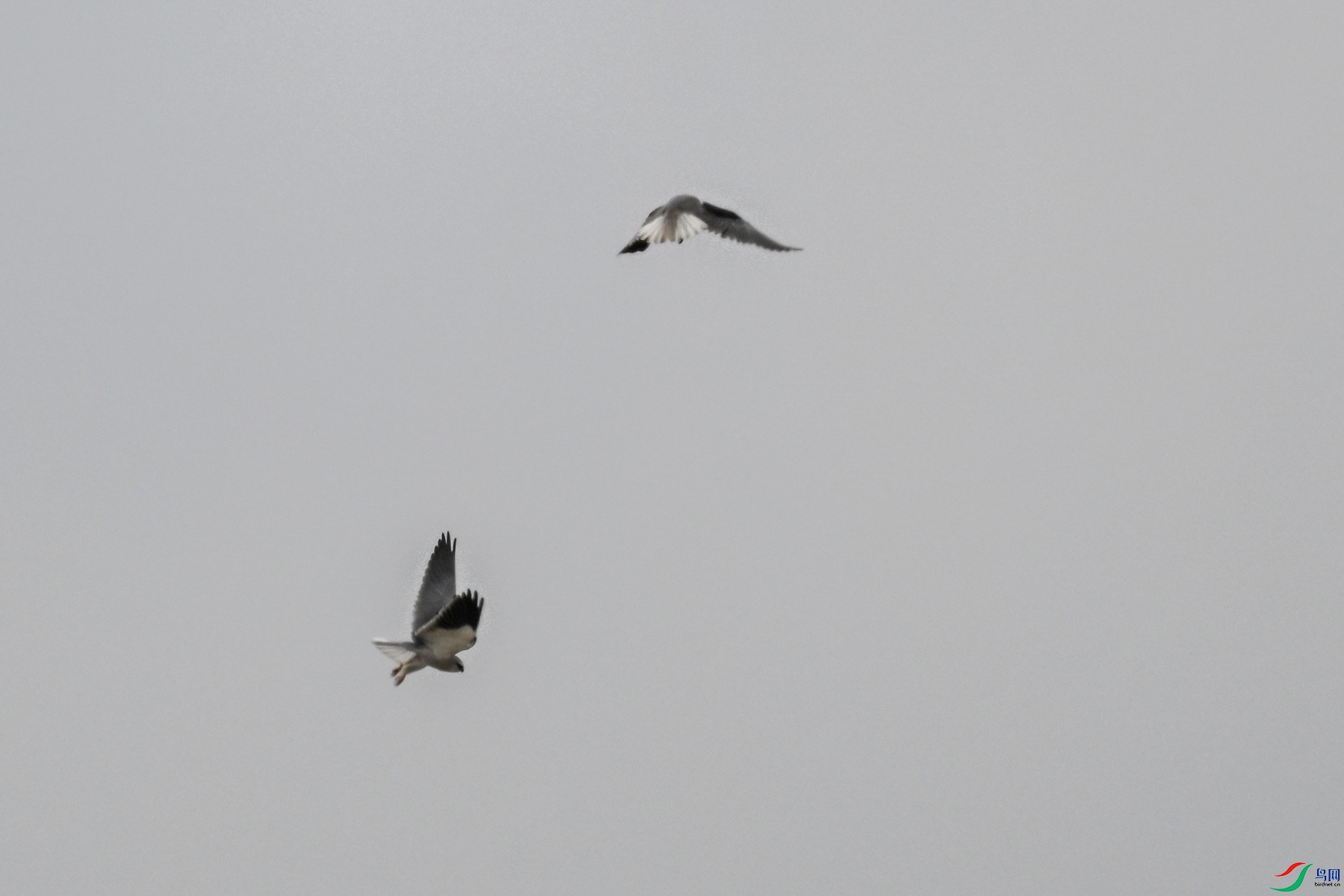 DSC_8131.JPG