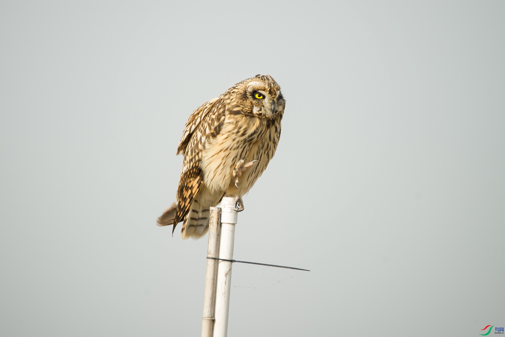 DSC_0382-20201207�ü�.jpg