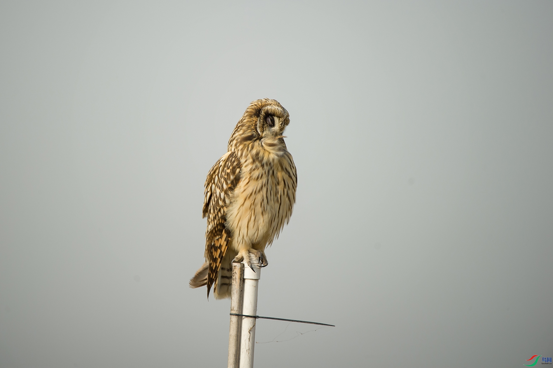 DSC_0405-20201207�ü�.jpg