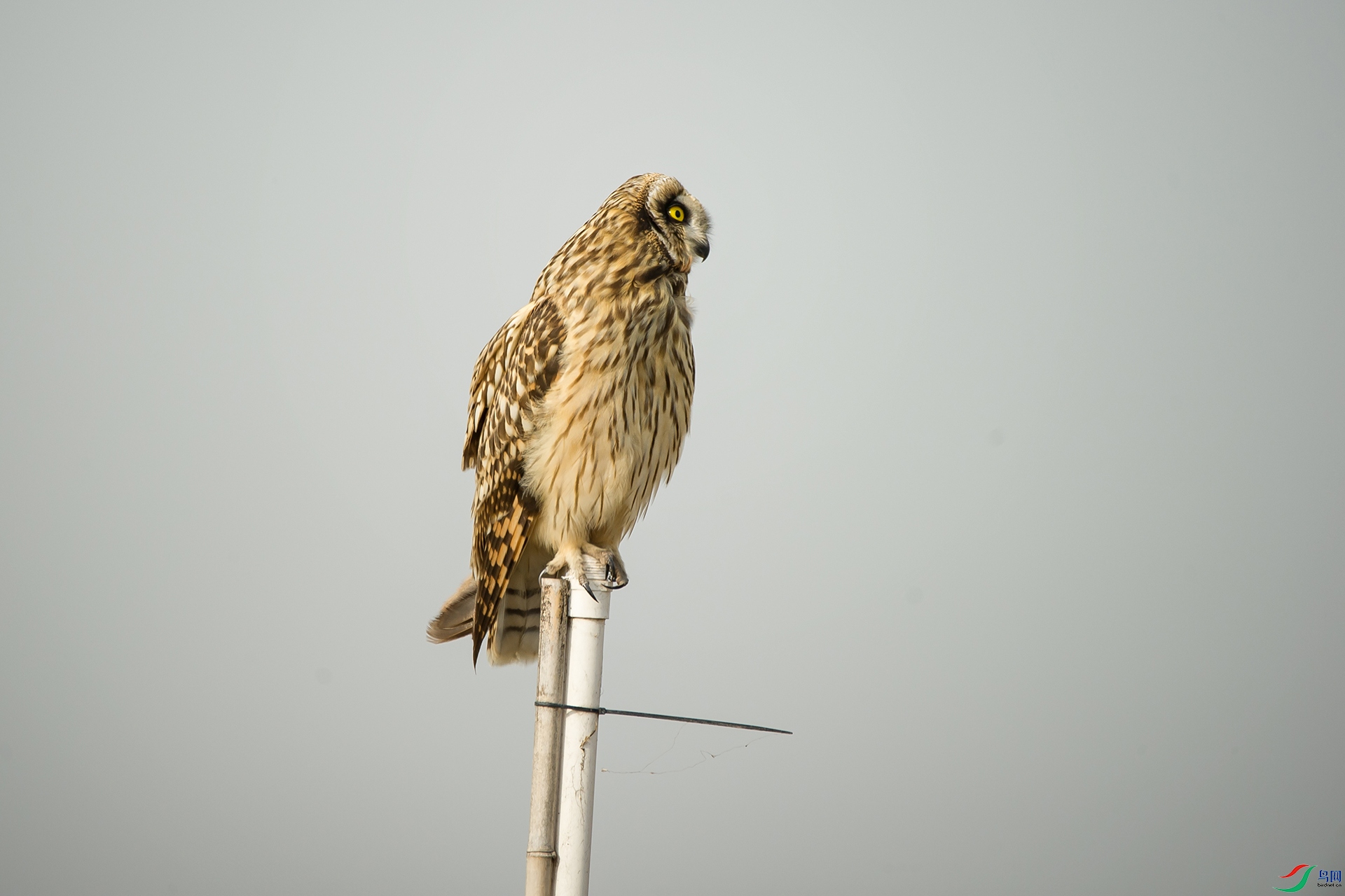 DSC_0419-20201207�ü�.jpg