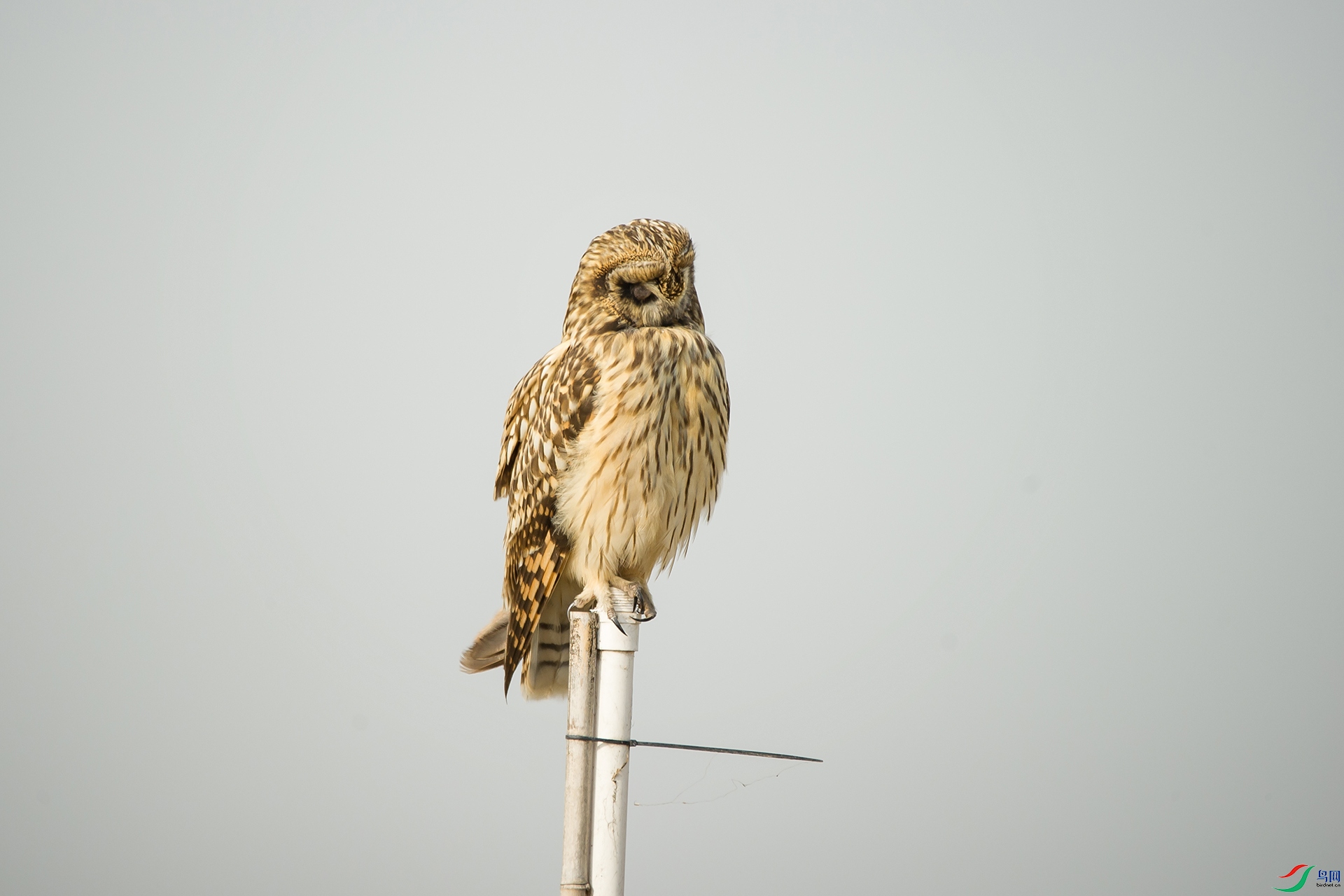 DSC_0421-20201207�ü�.jpg