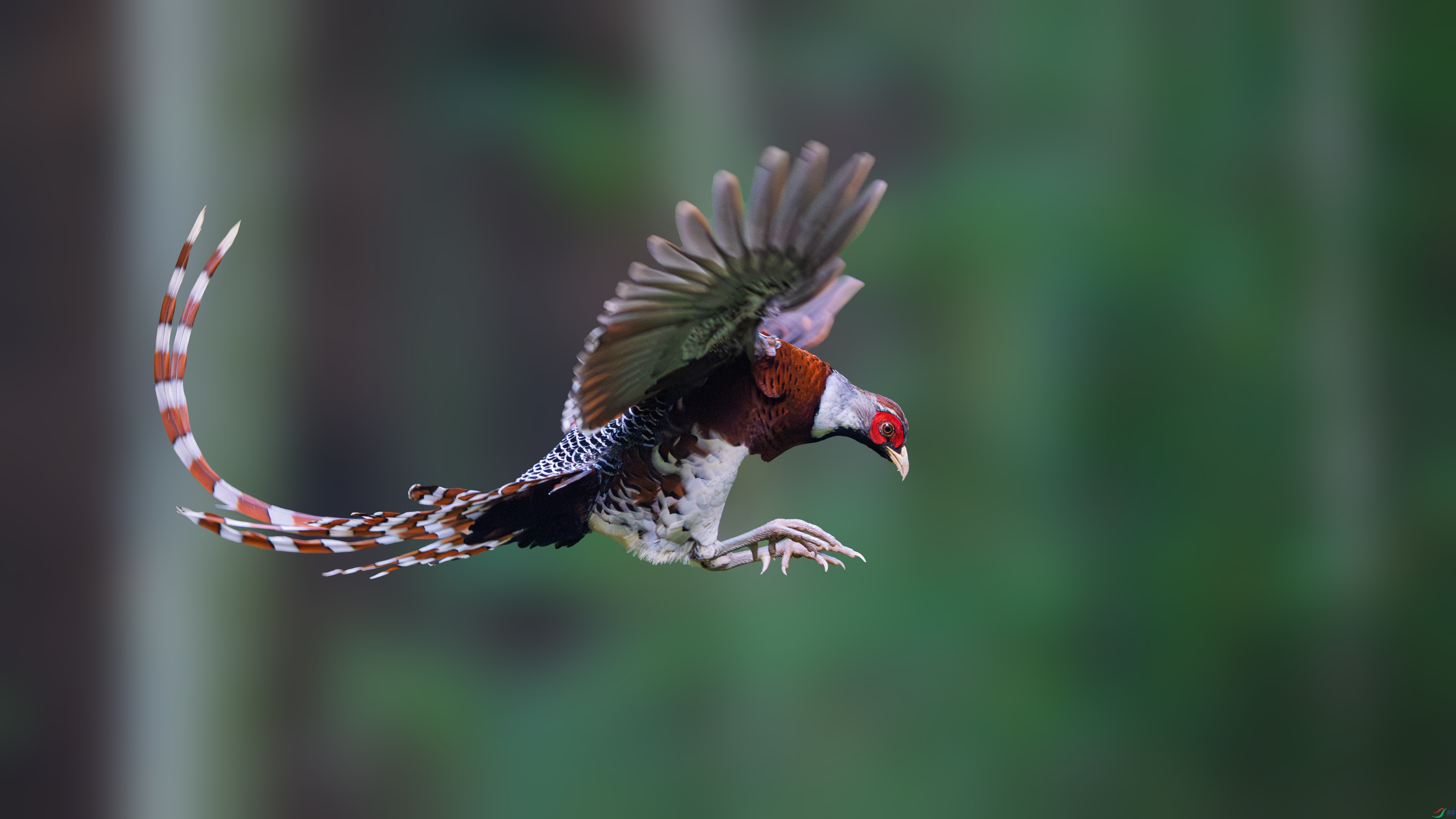 DSC07361-1.jpg