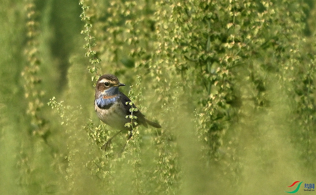 DSC_3905.JPG