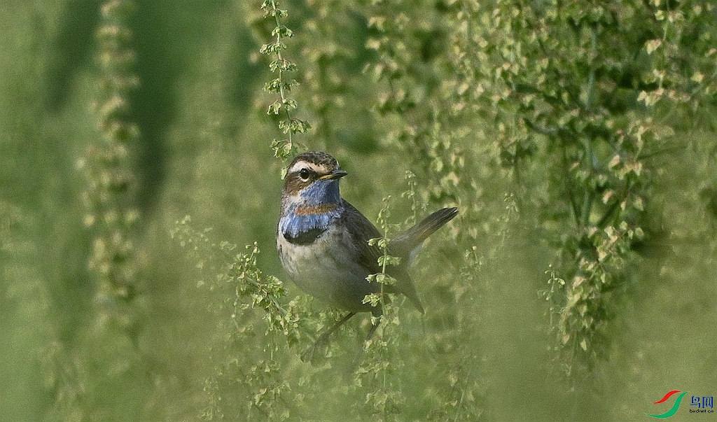 DSC_3914.JPG