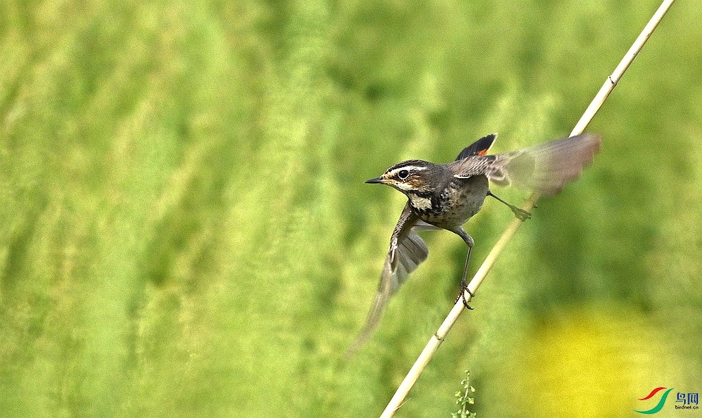 DSC_4040.JPG